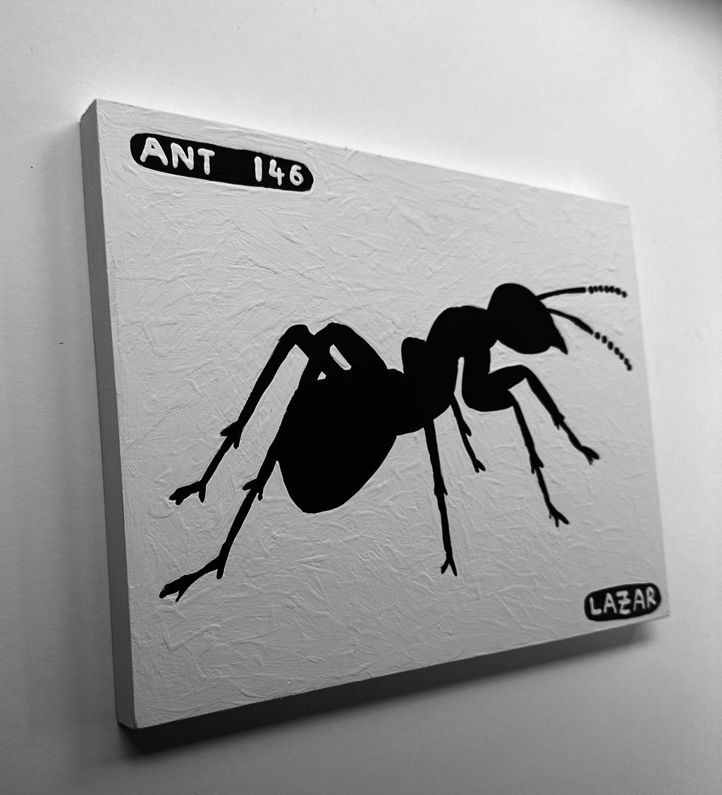 Ant #146