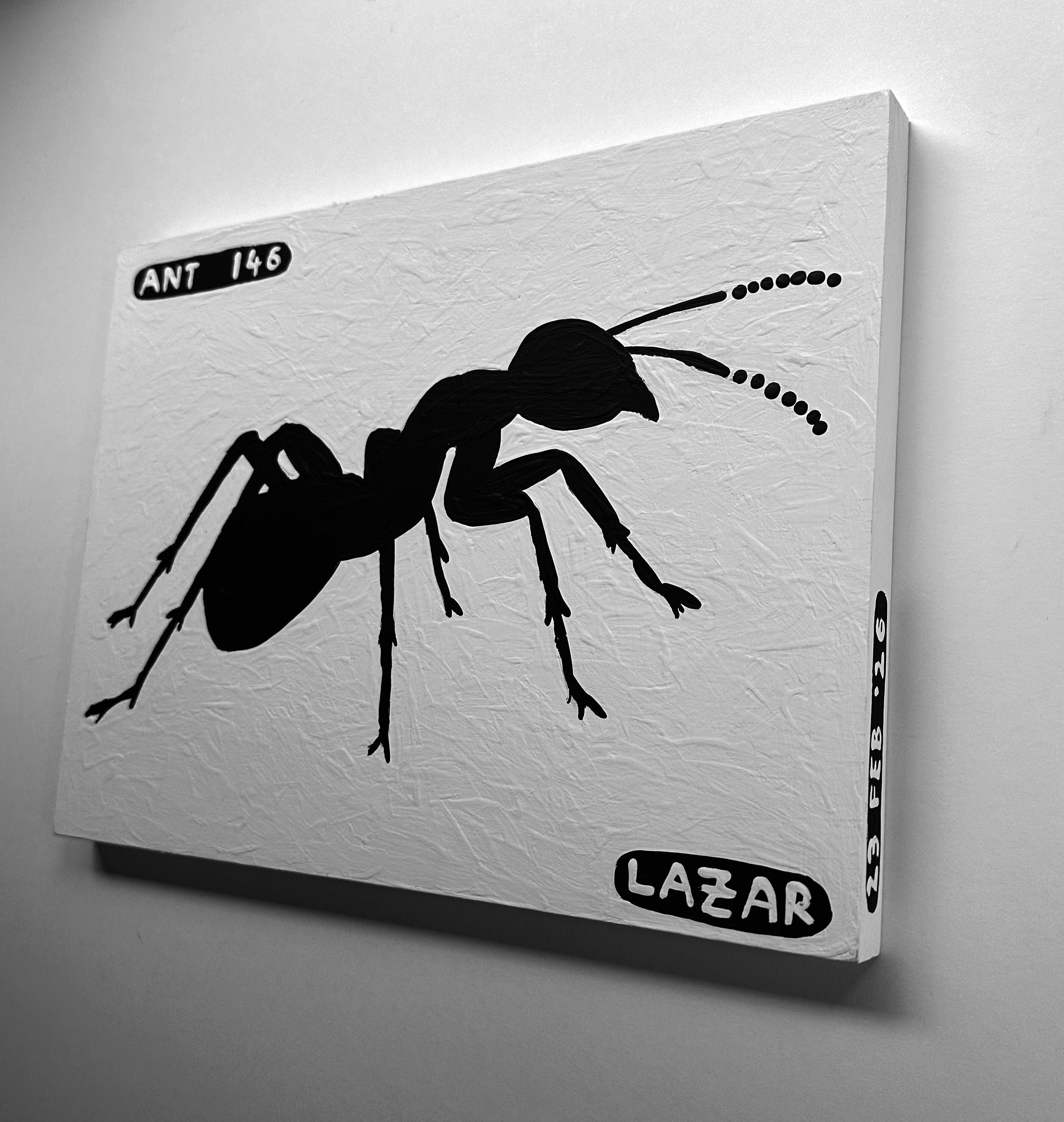 Ant #146
