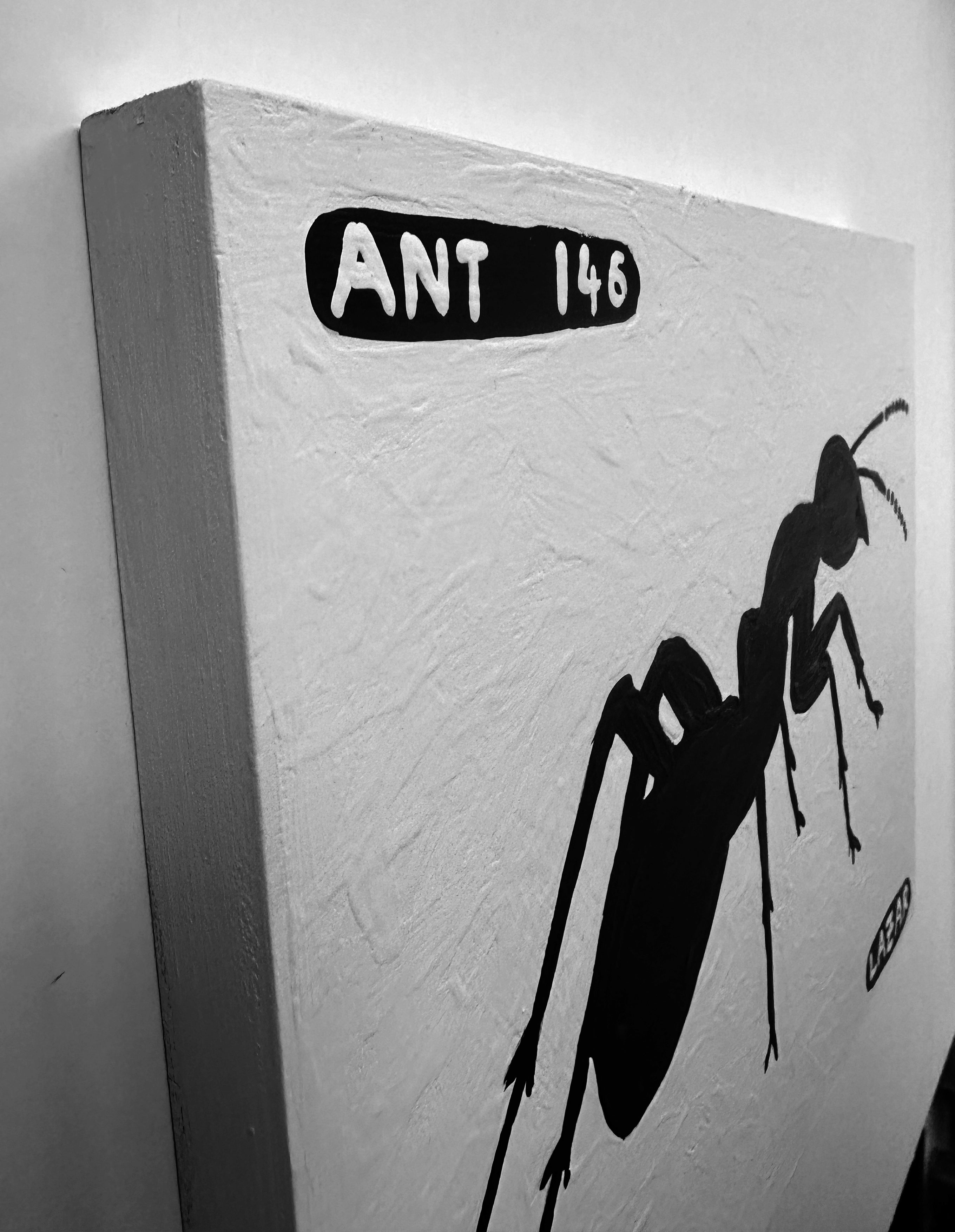 Ant #146