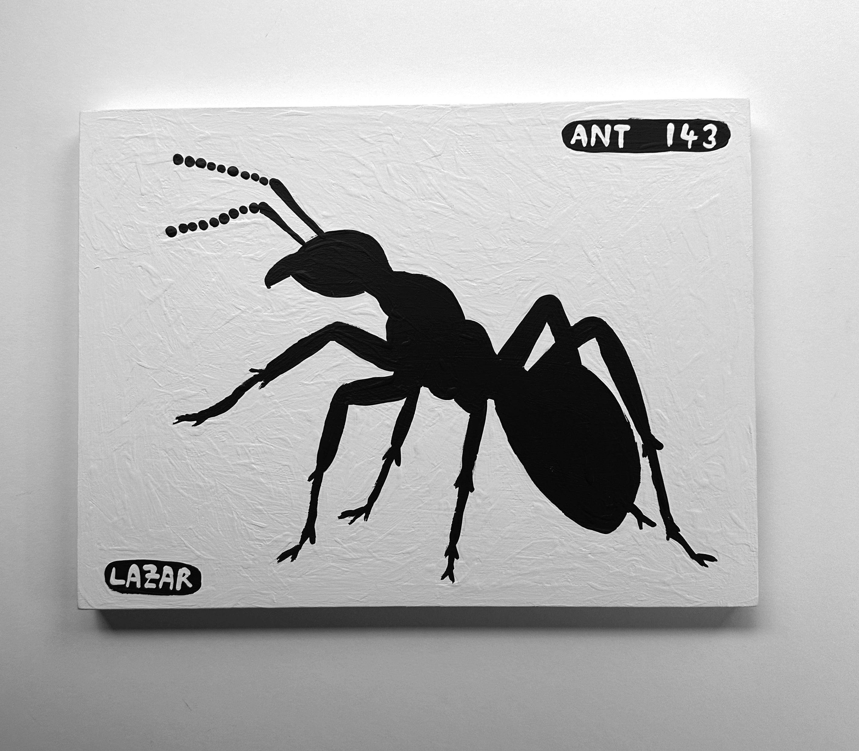 Ant #143