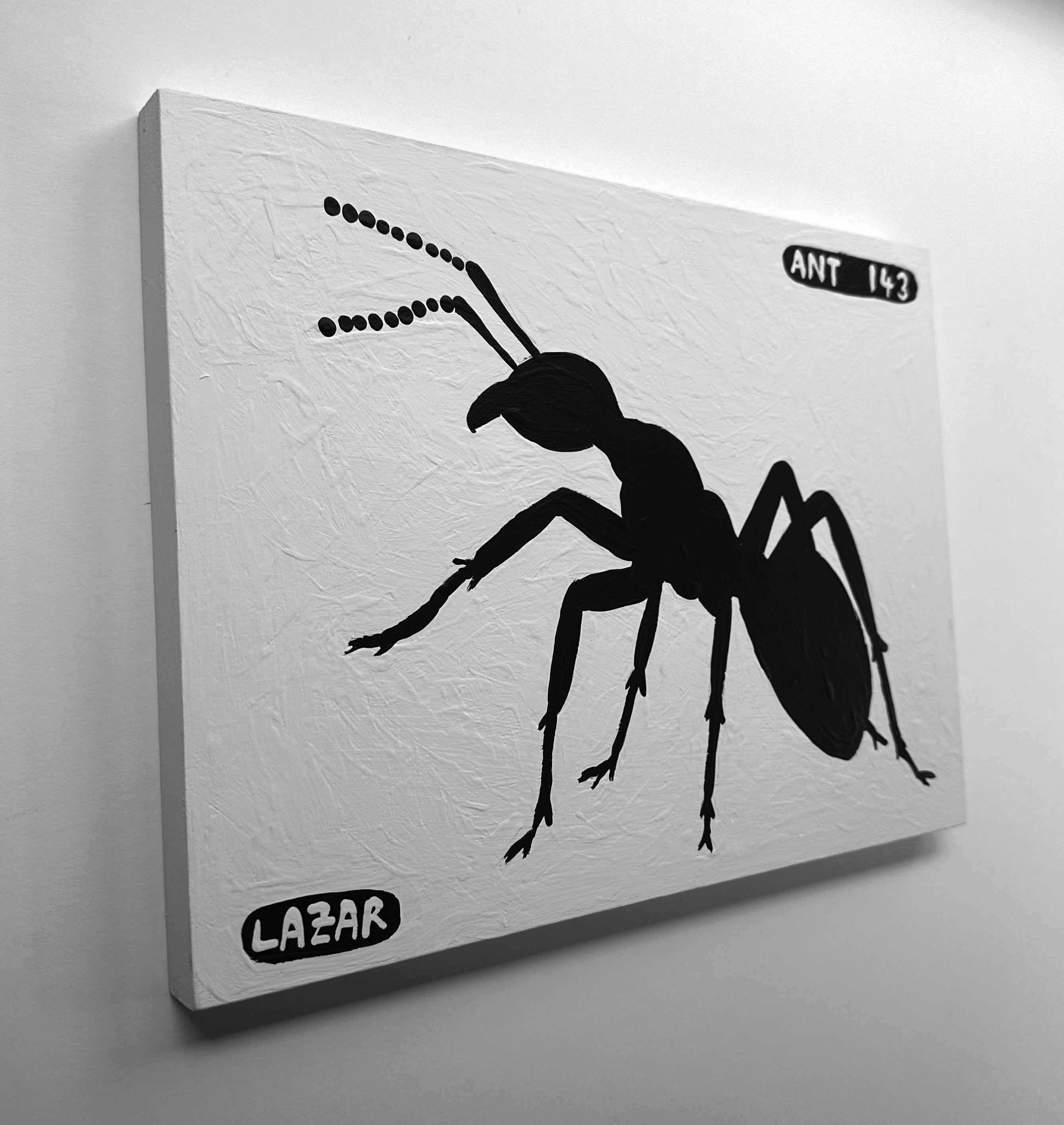 Ant #143