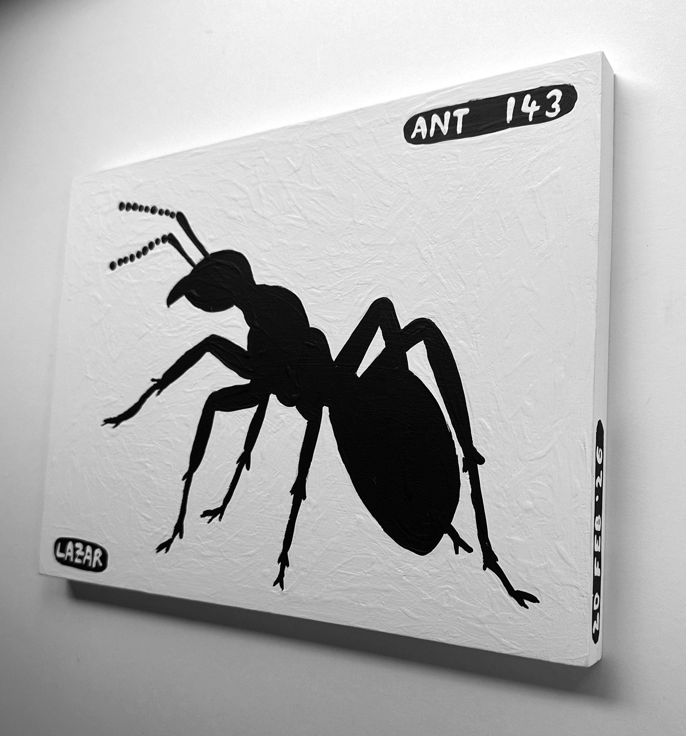 Ant #143