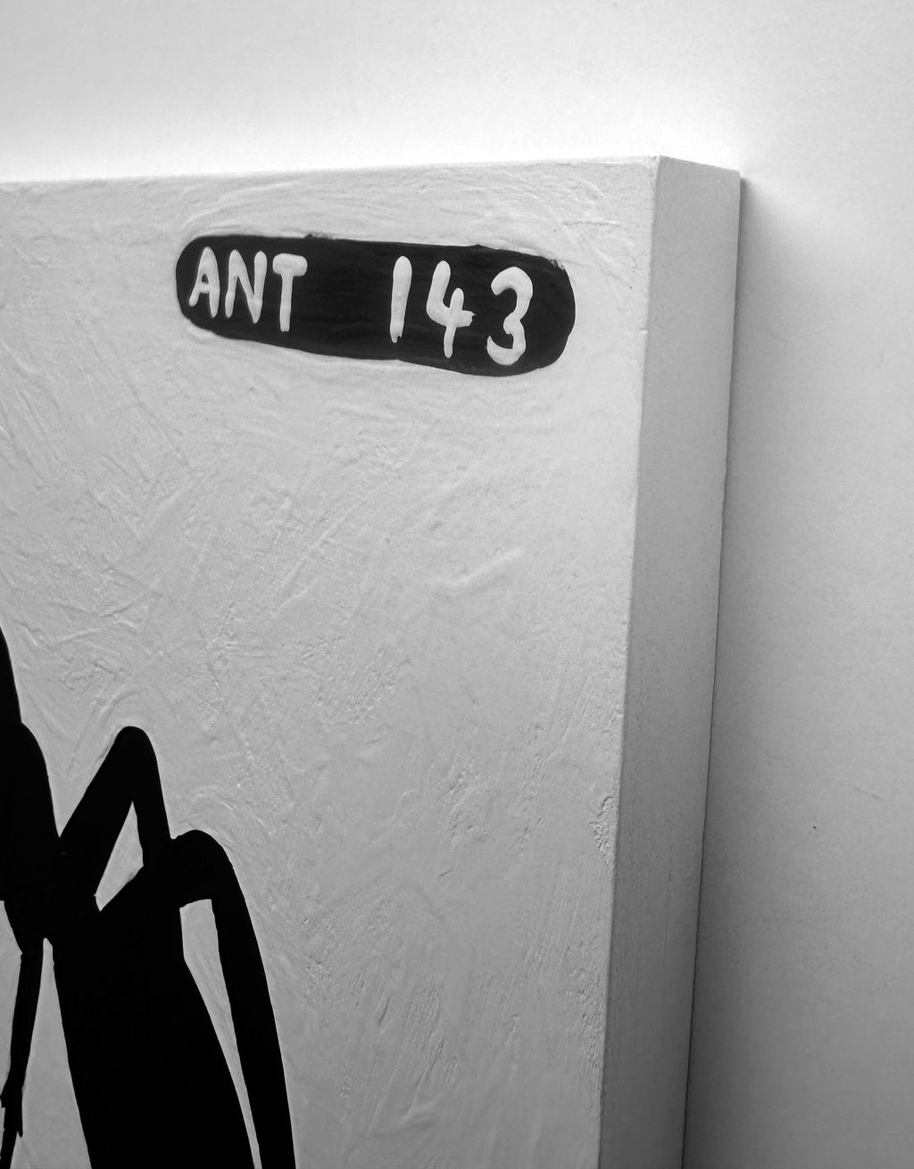 Ant #143