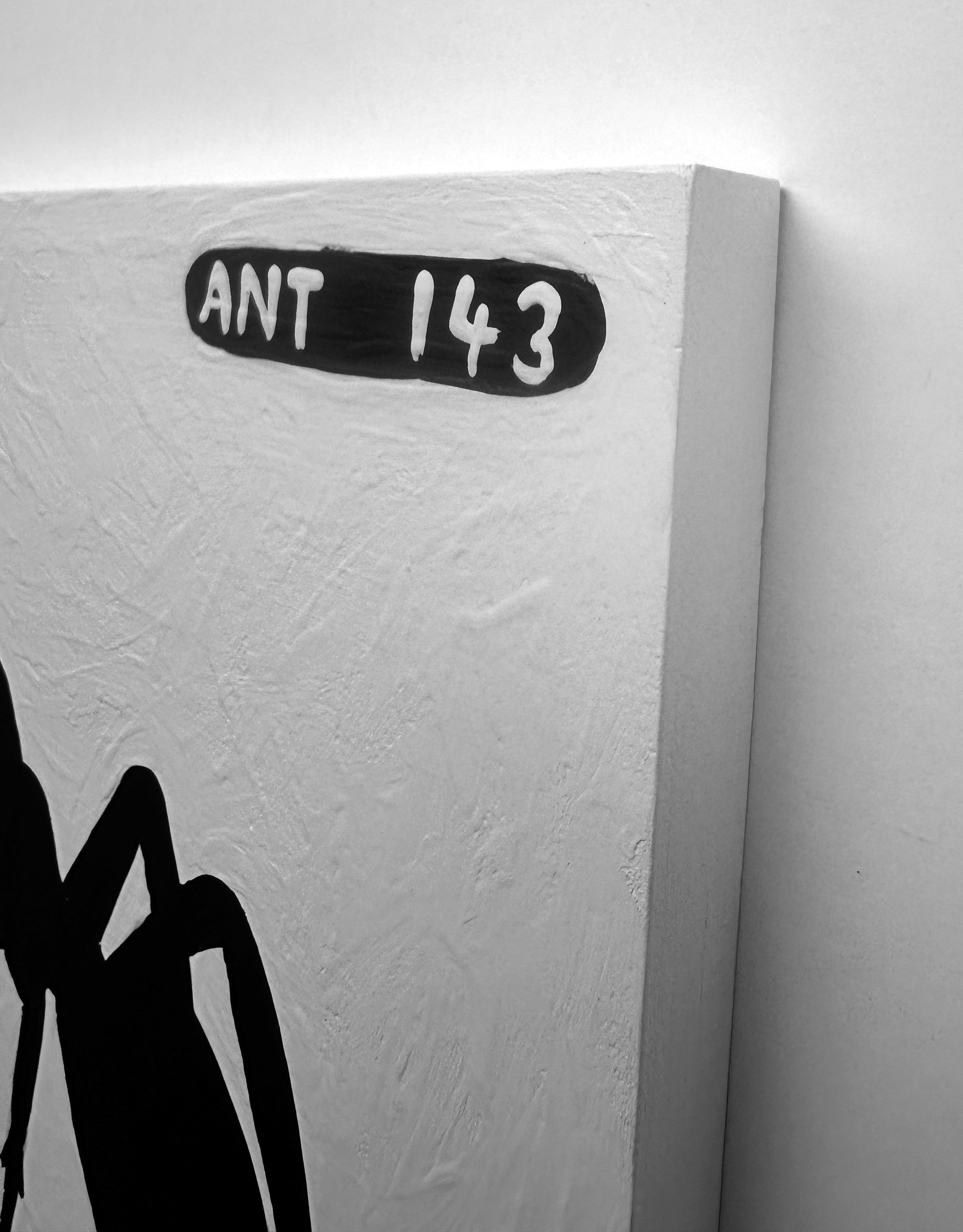 Ant #143
