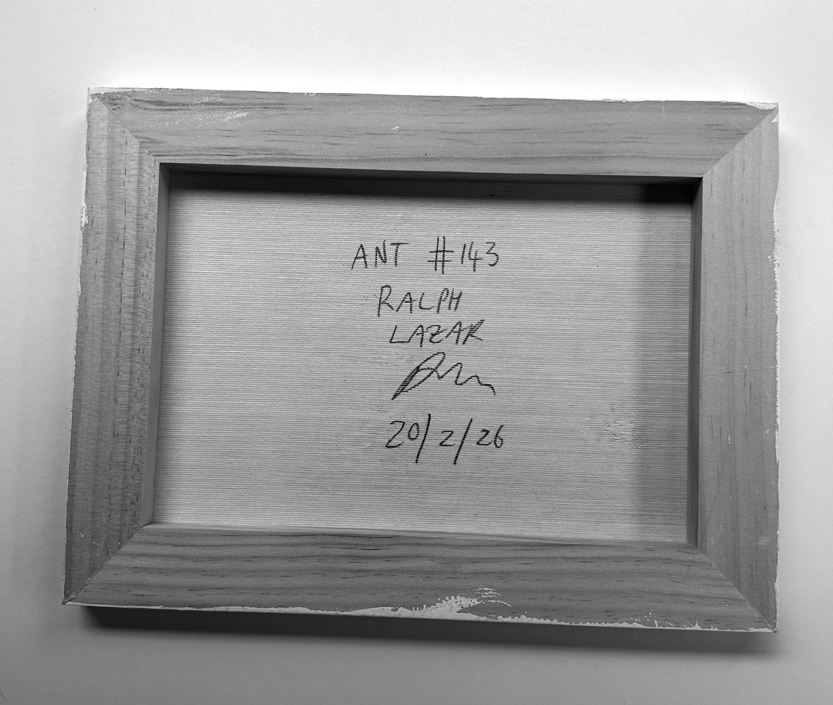 Ant #143