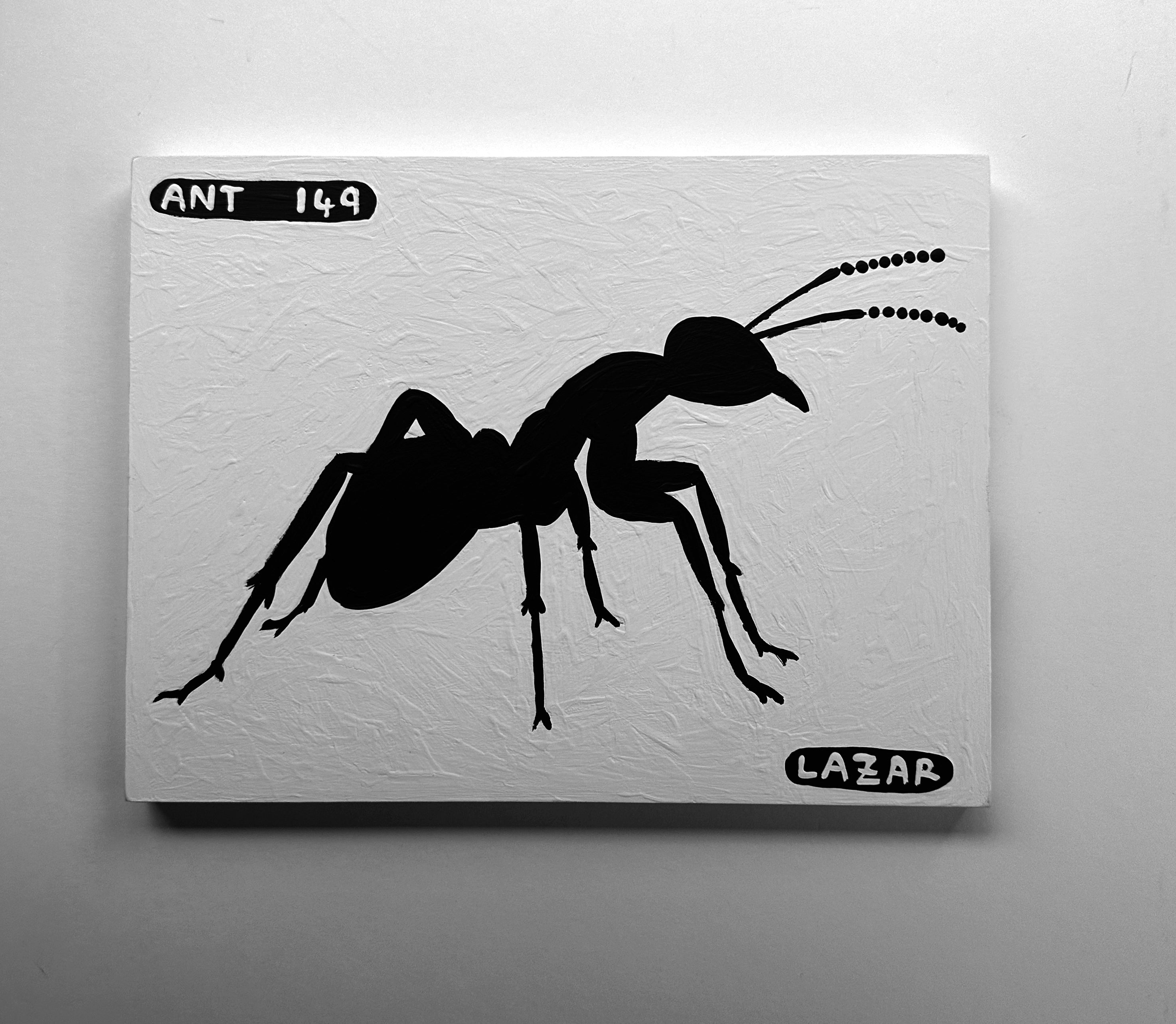 Ant #149