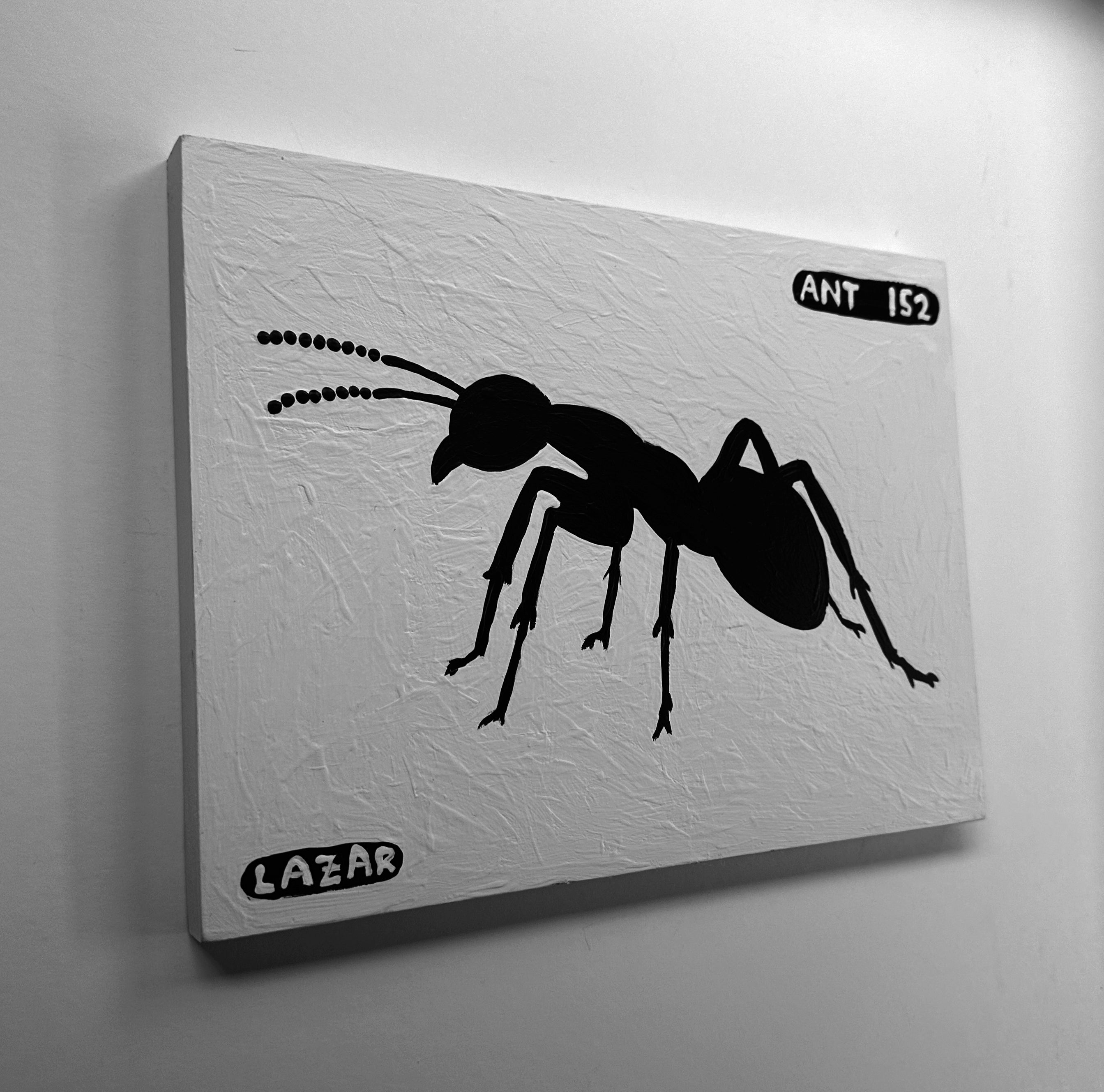 Ant #152