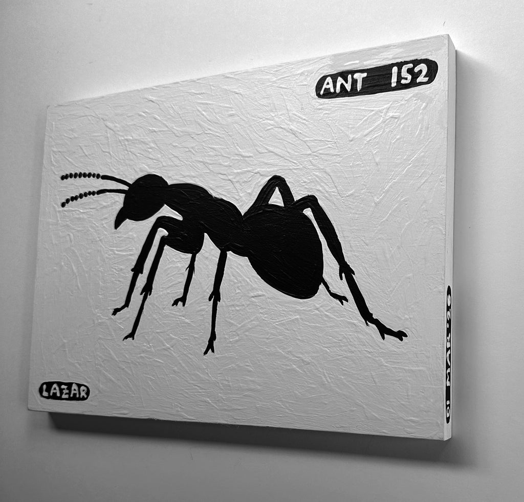 Ant #152