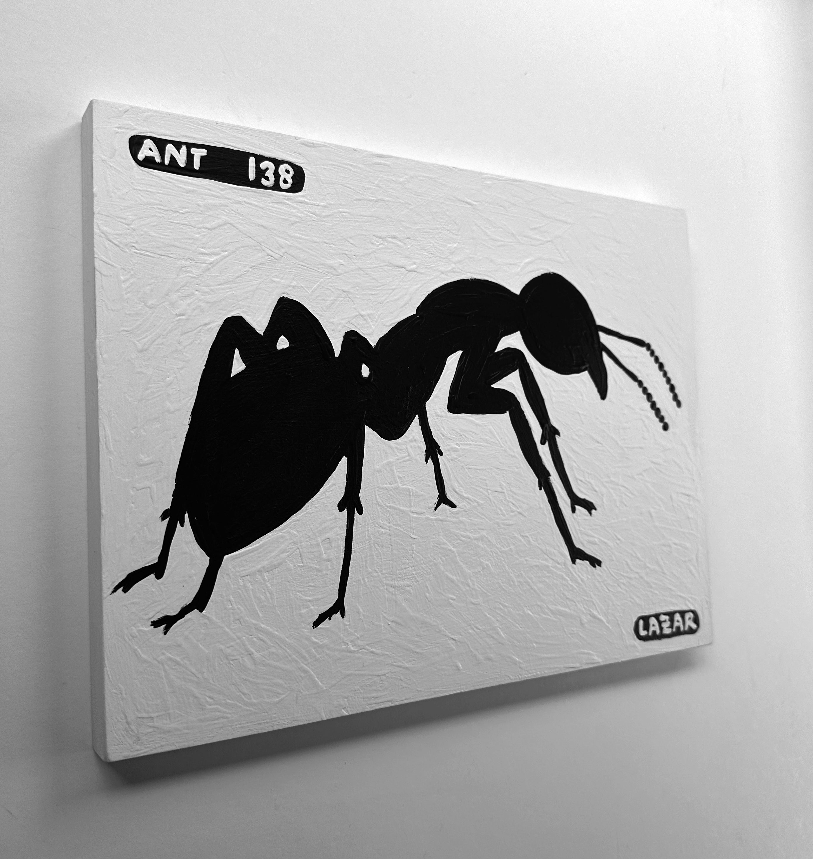 Ant #138