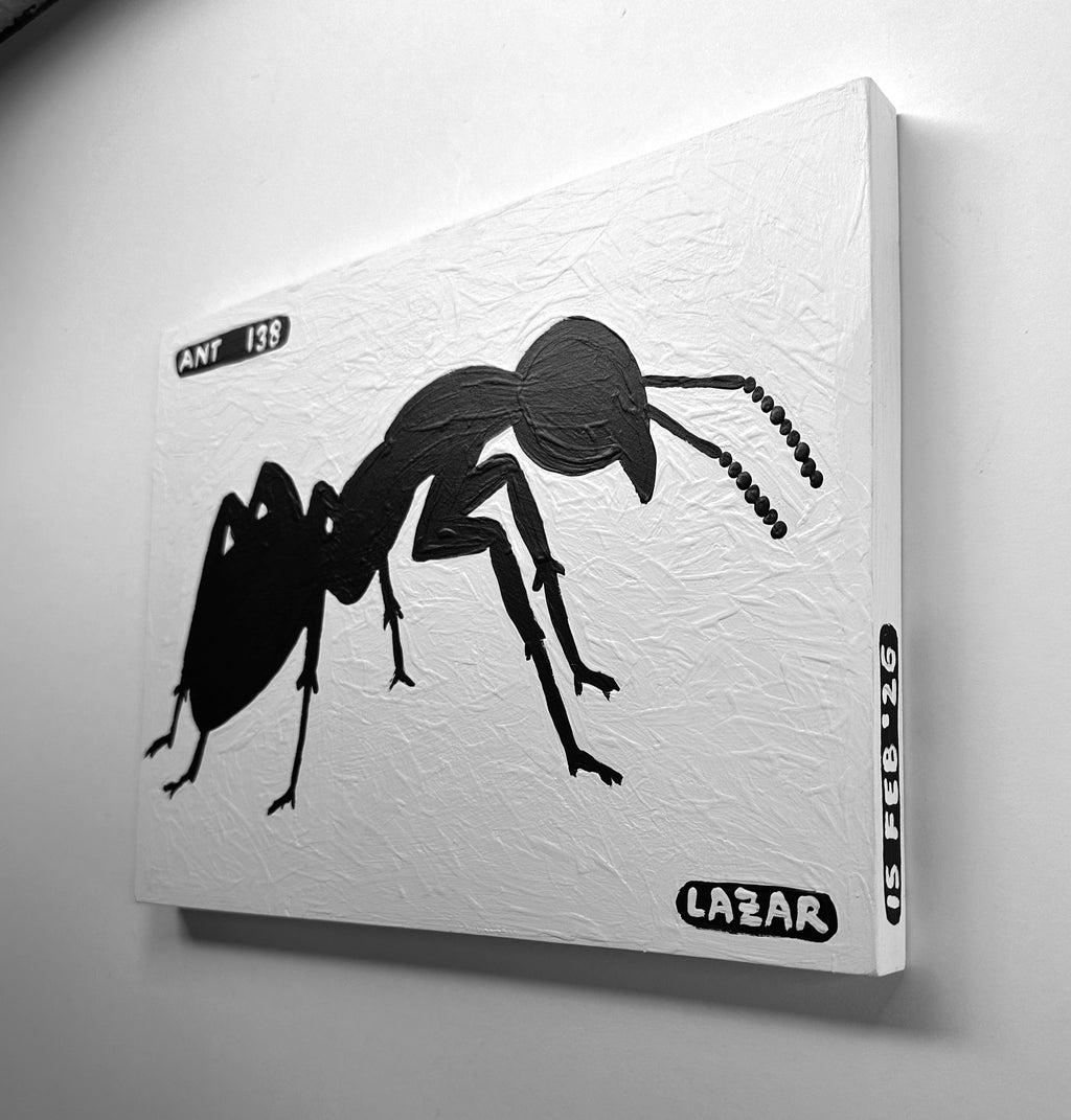 Ant #138