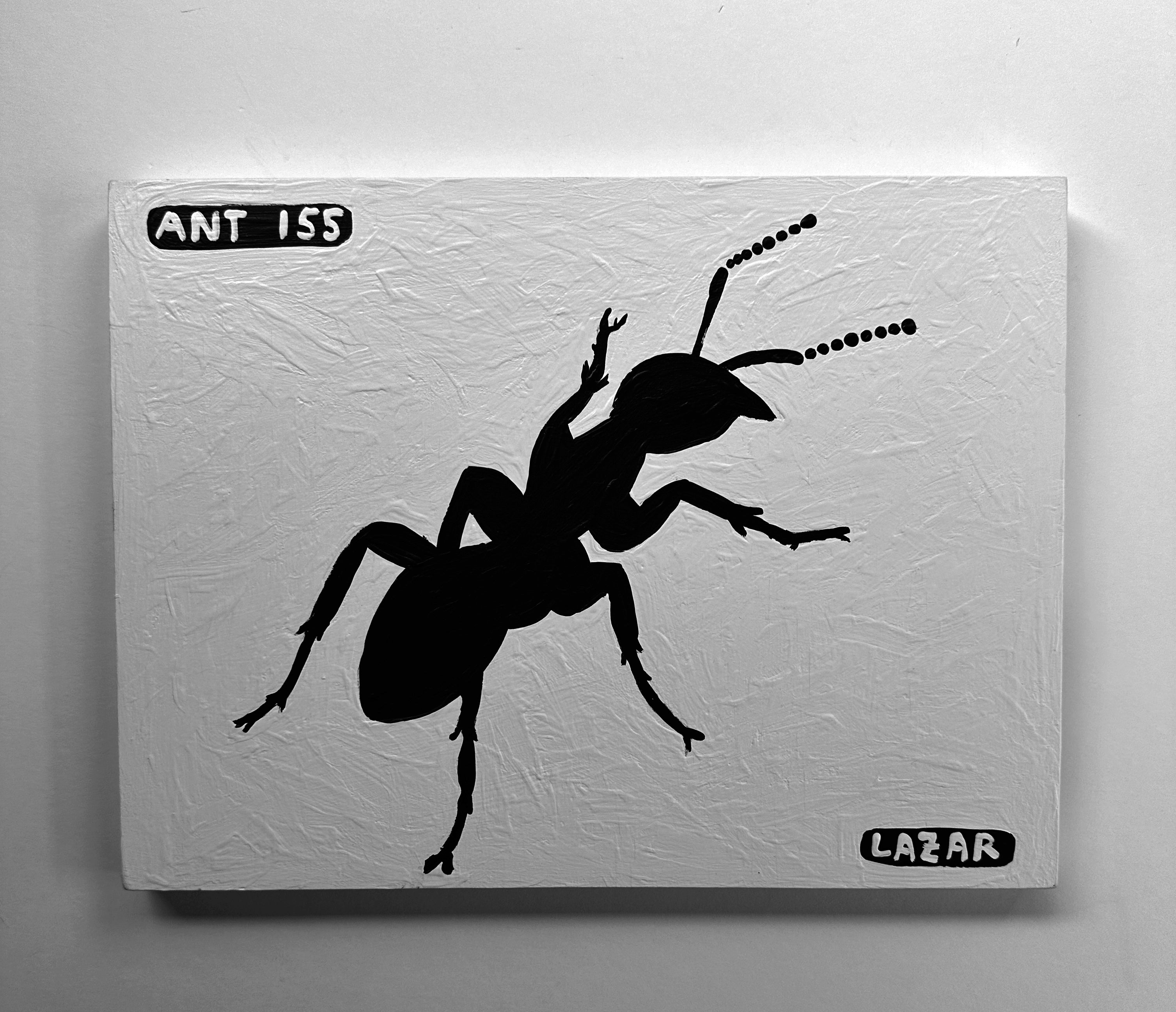 Ant #155