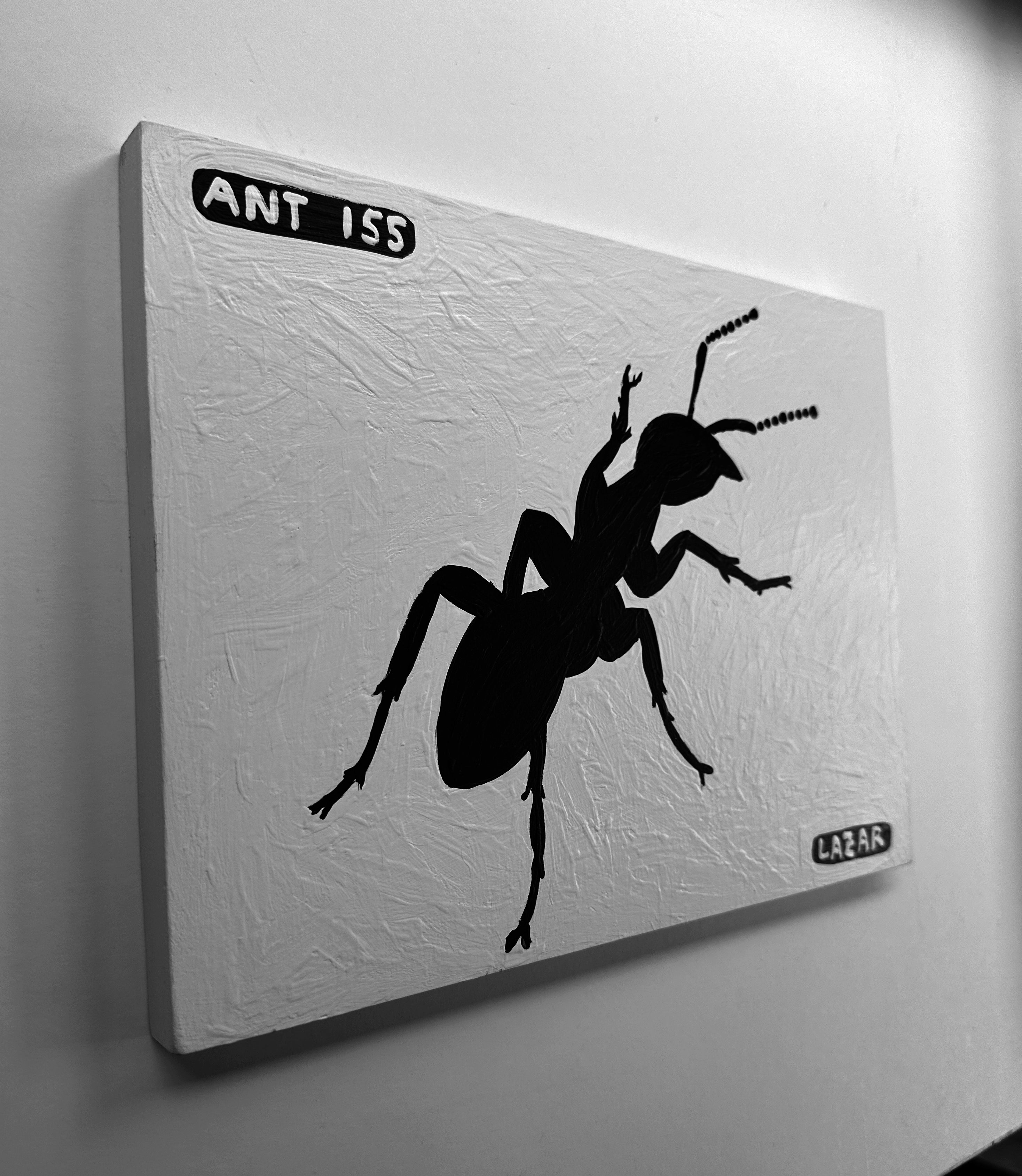 Ant #155