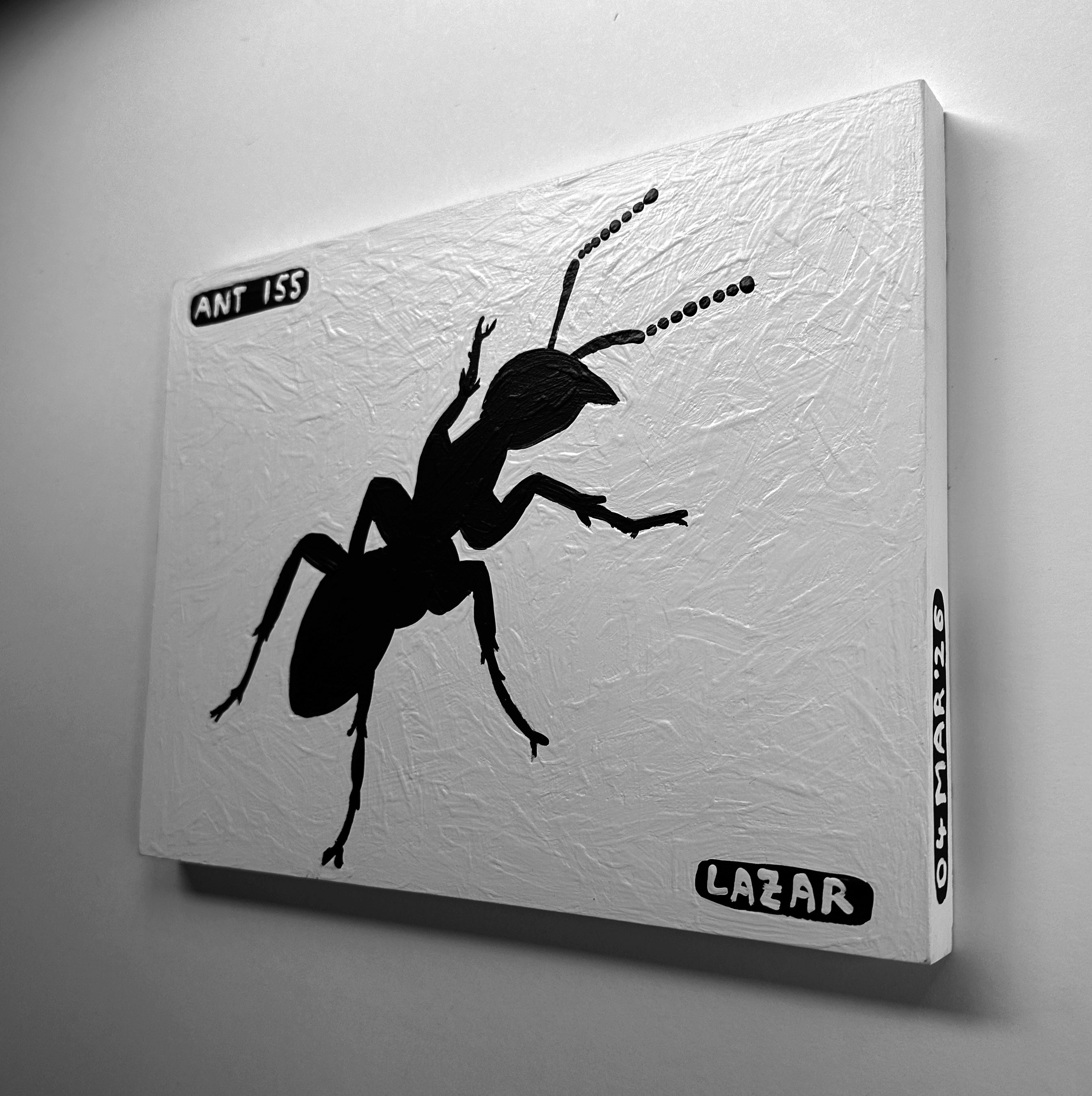 Ant #155