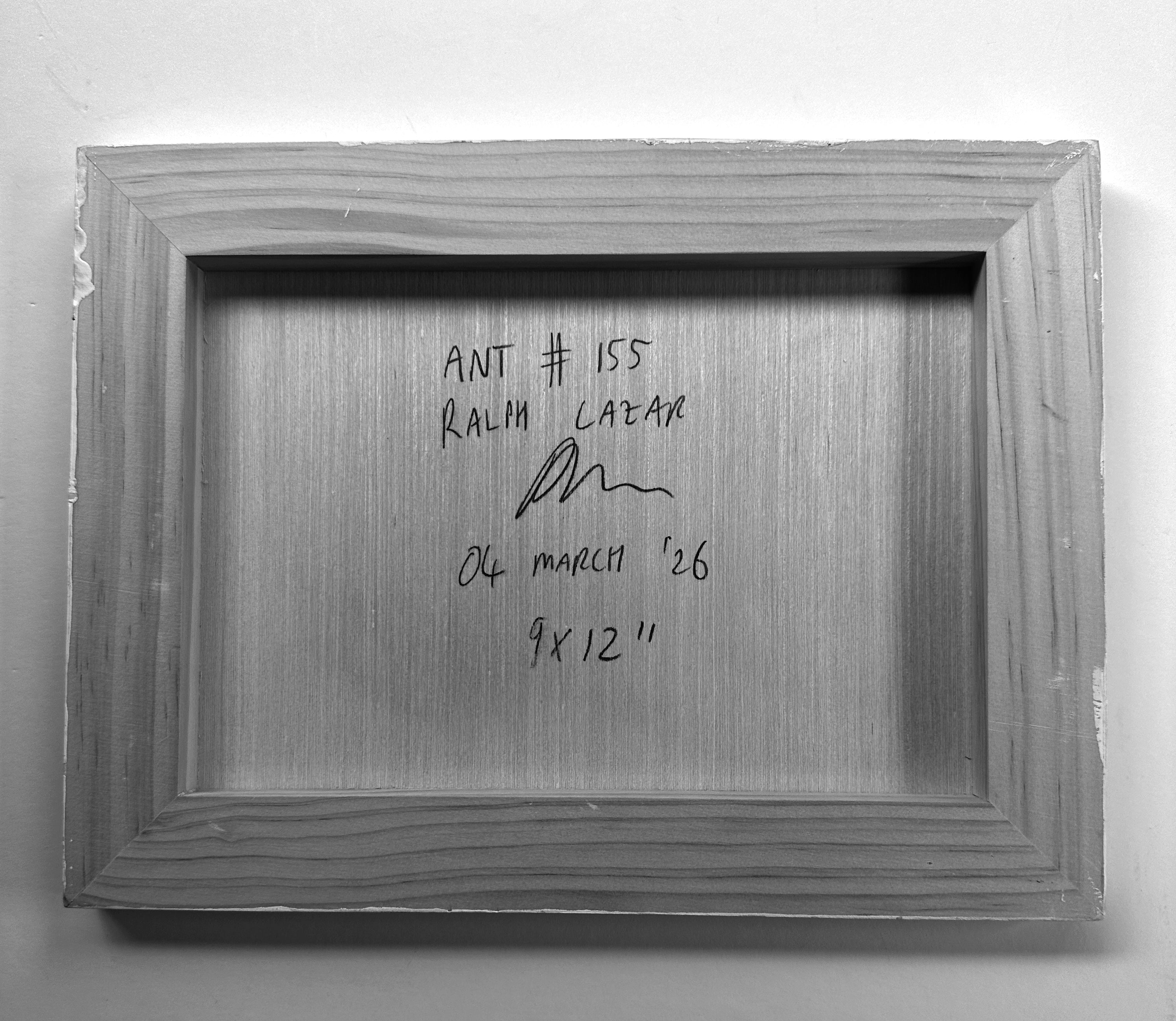 Ant #155