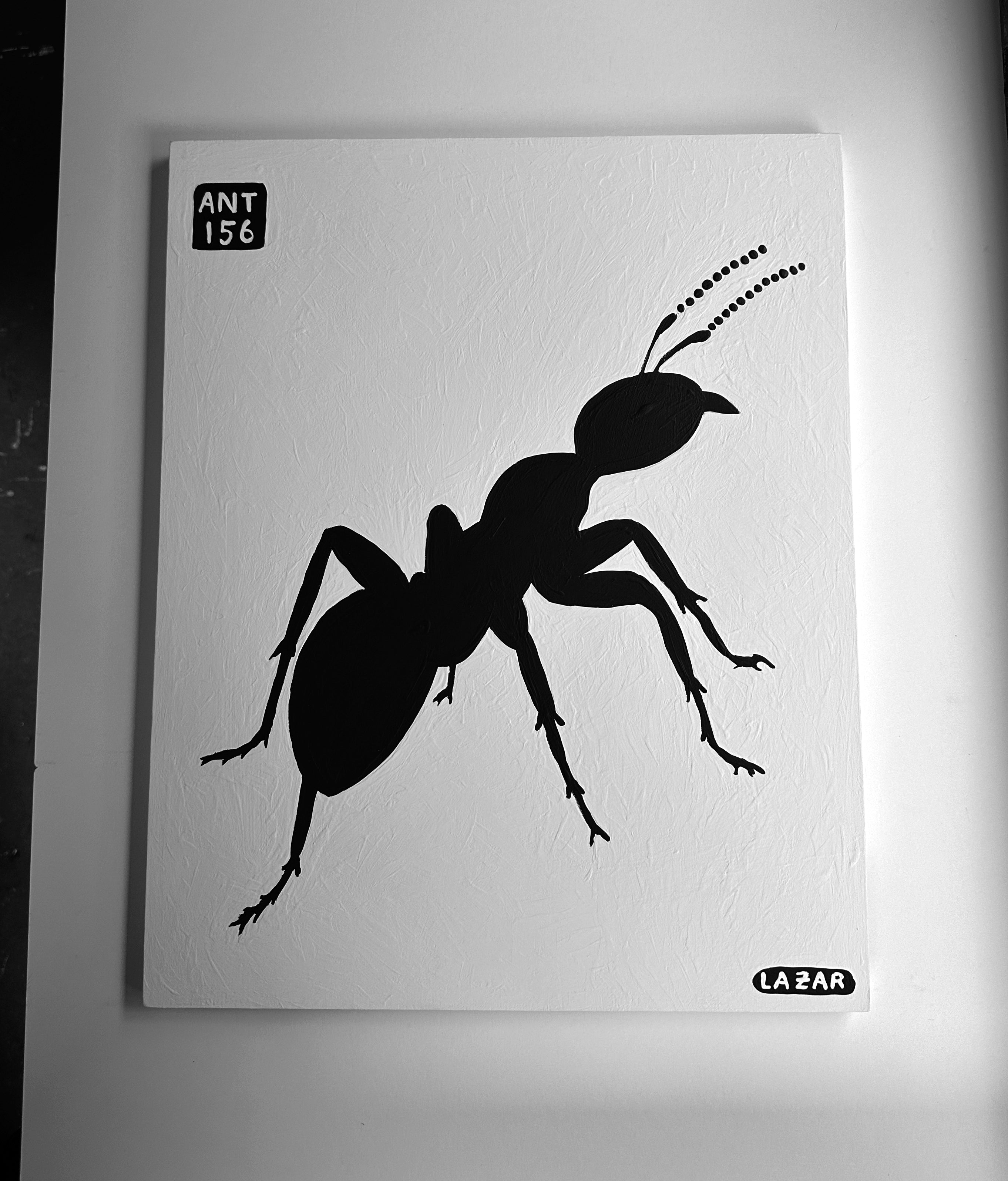 Ant #156