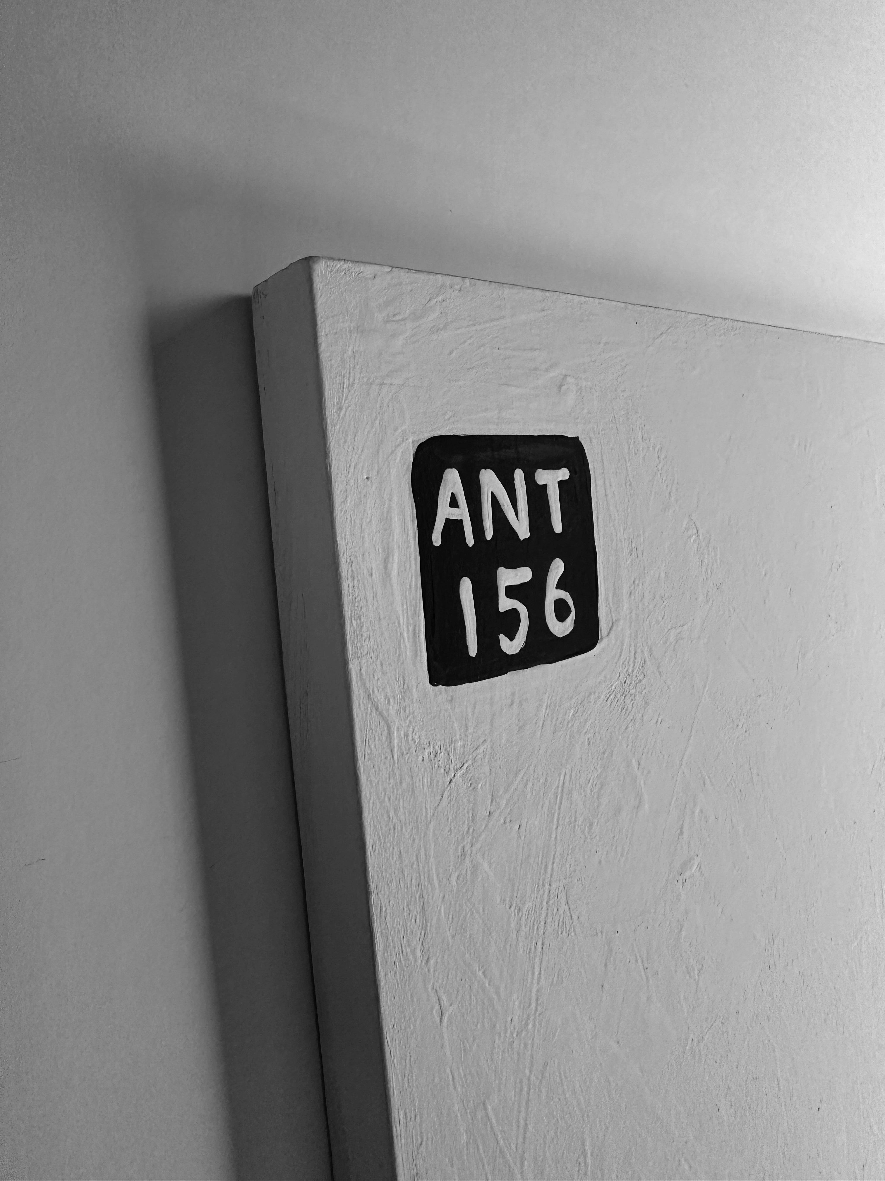 Ant #156