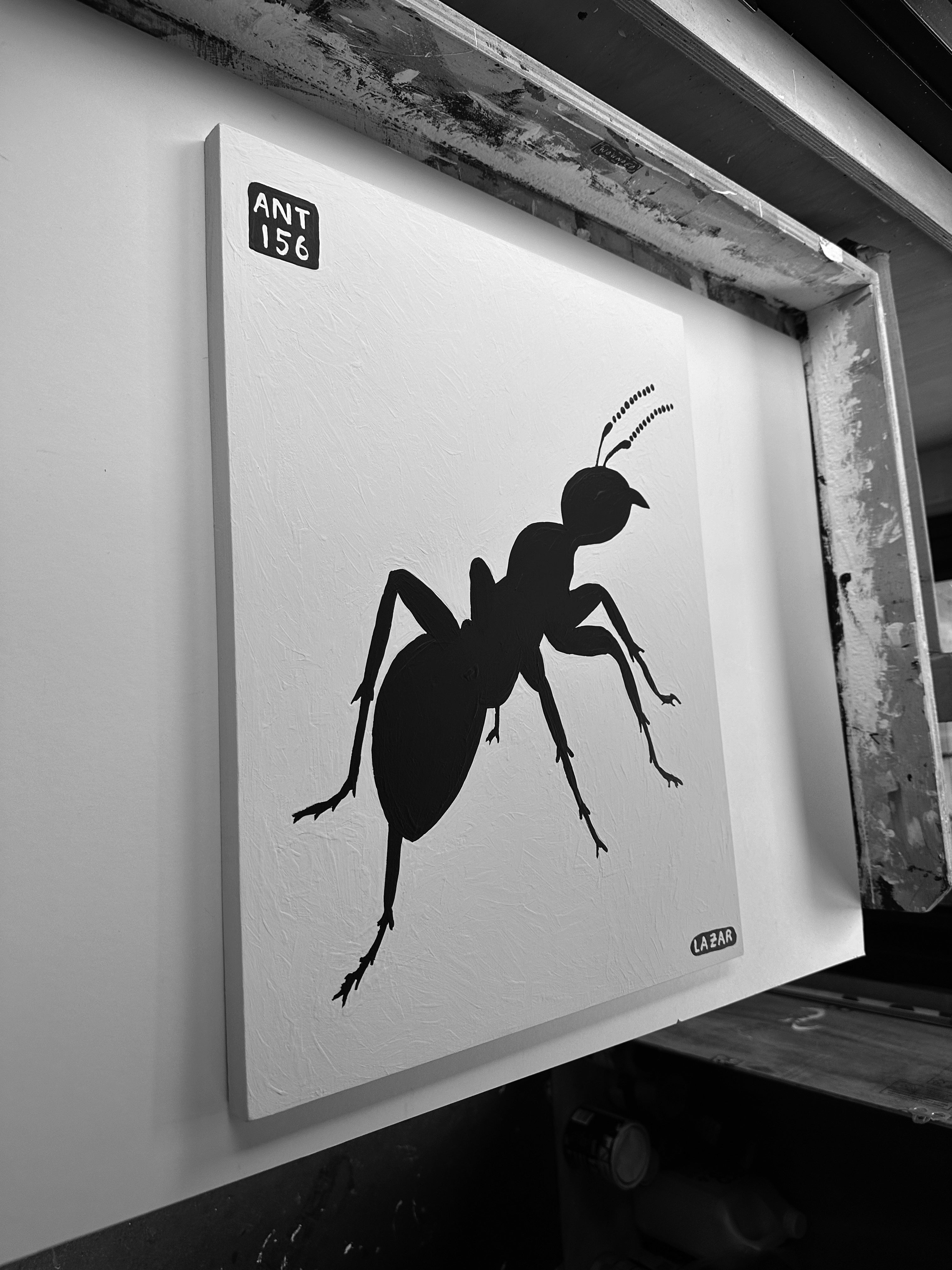 Ant #156