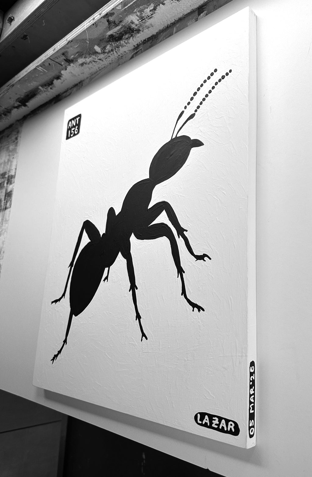 Ant #156