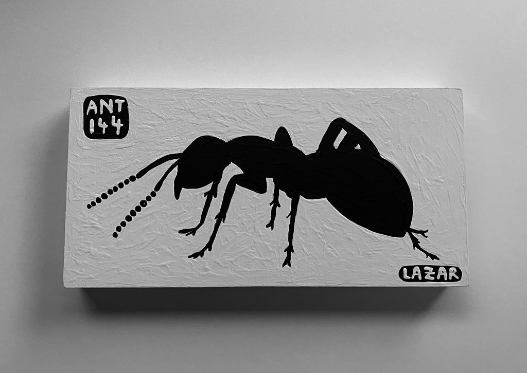 Ant #144