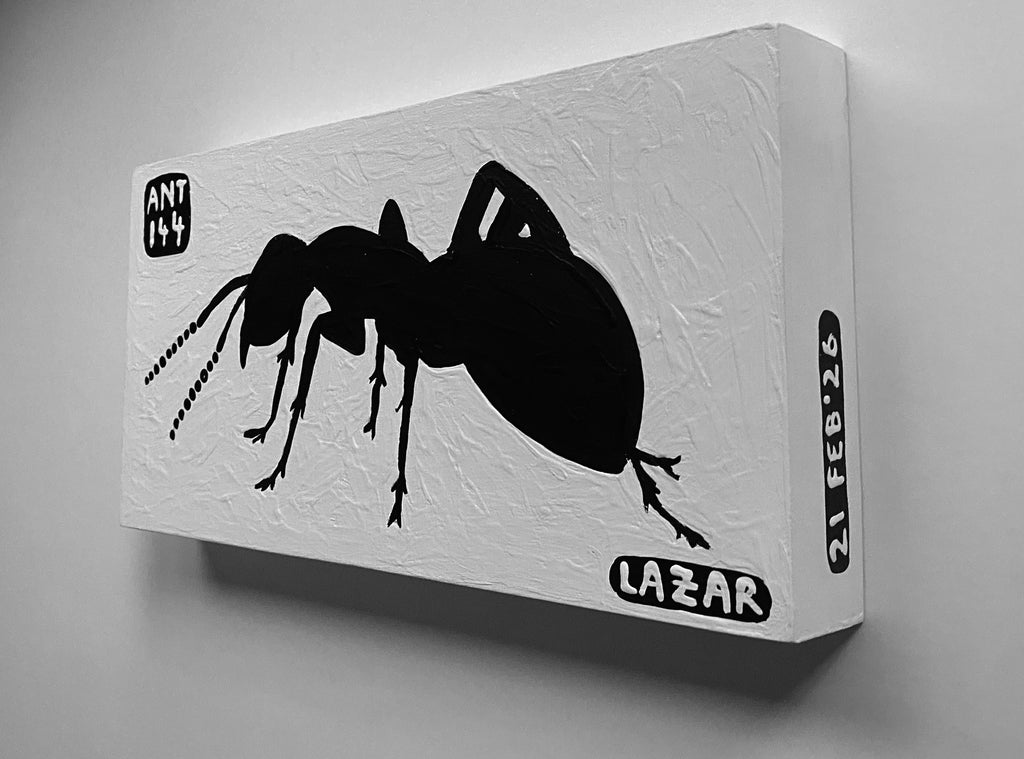 Ant #144