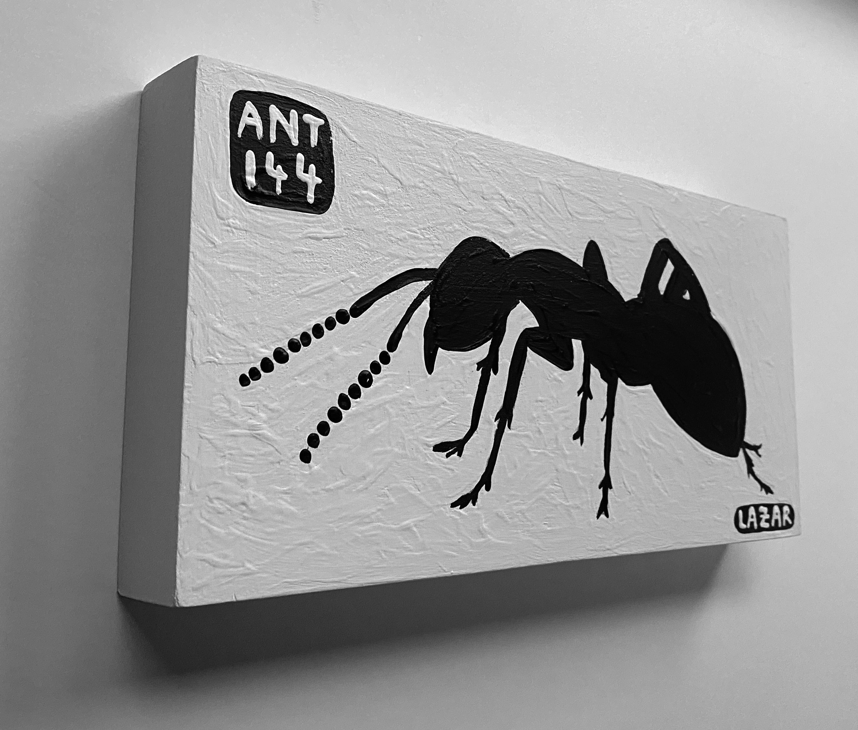 Ant #144