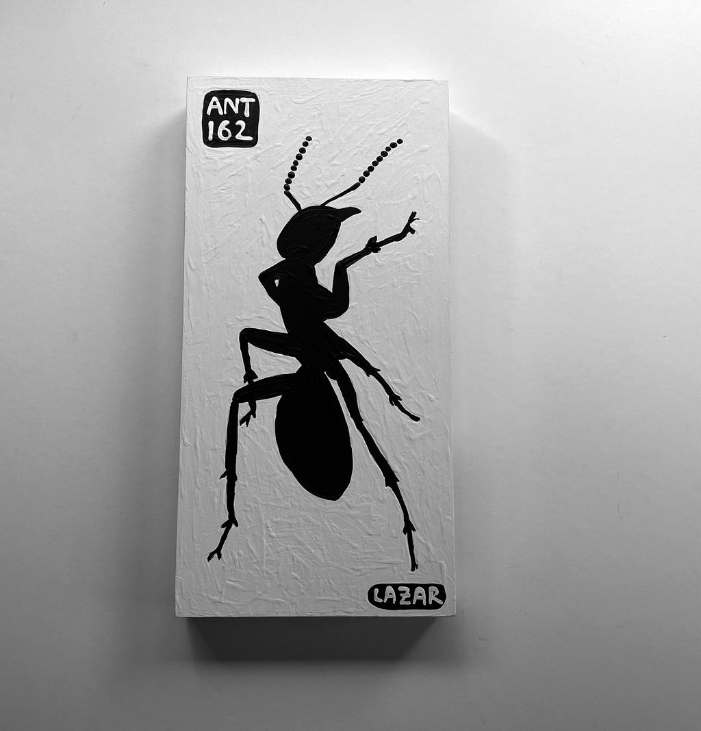 Ant #162