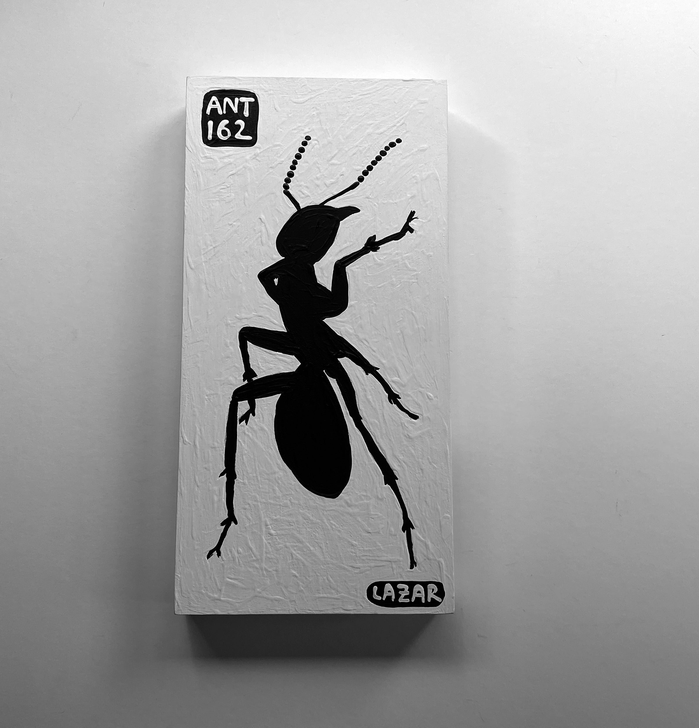 Ant #162