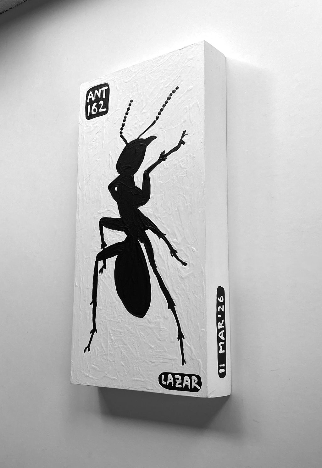 Ant #162