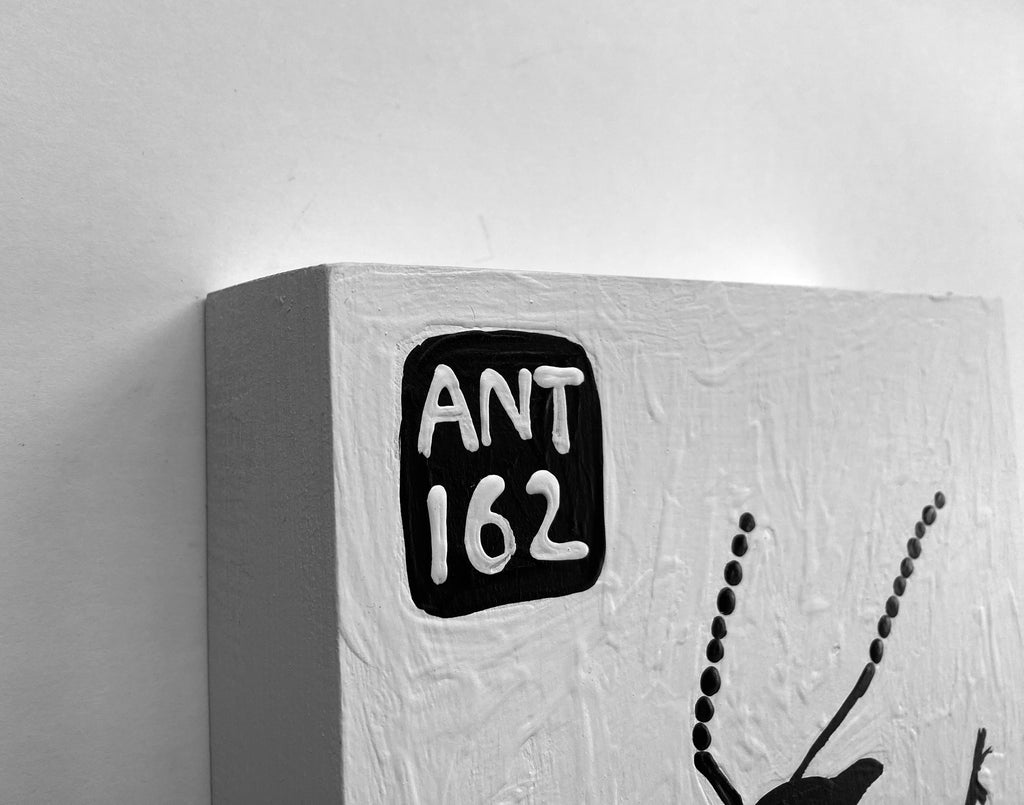 Ant #162