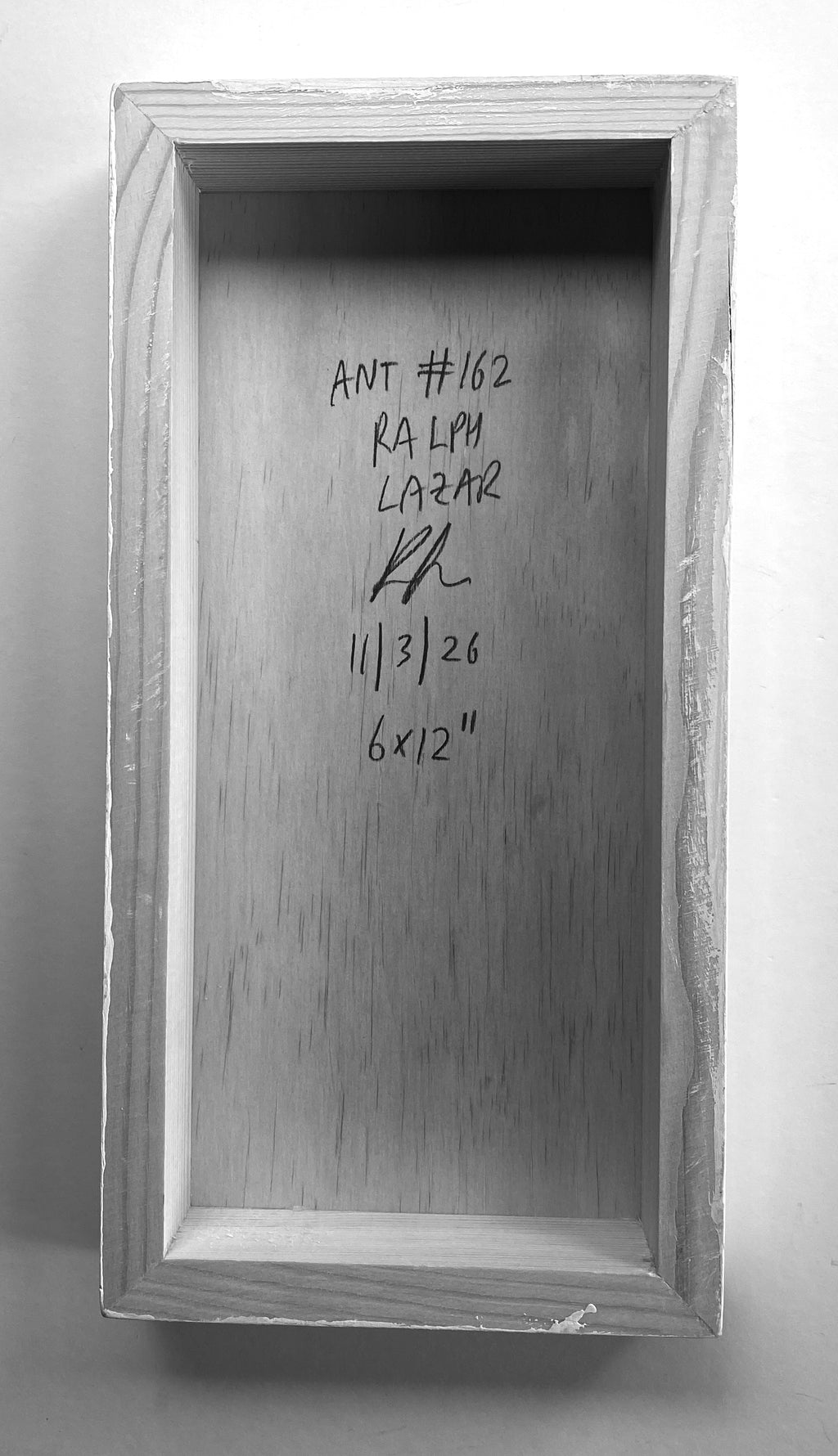 Ant #162