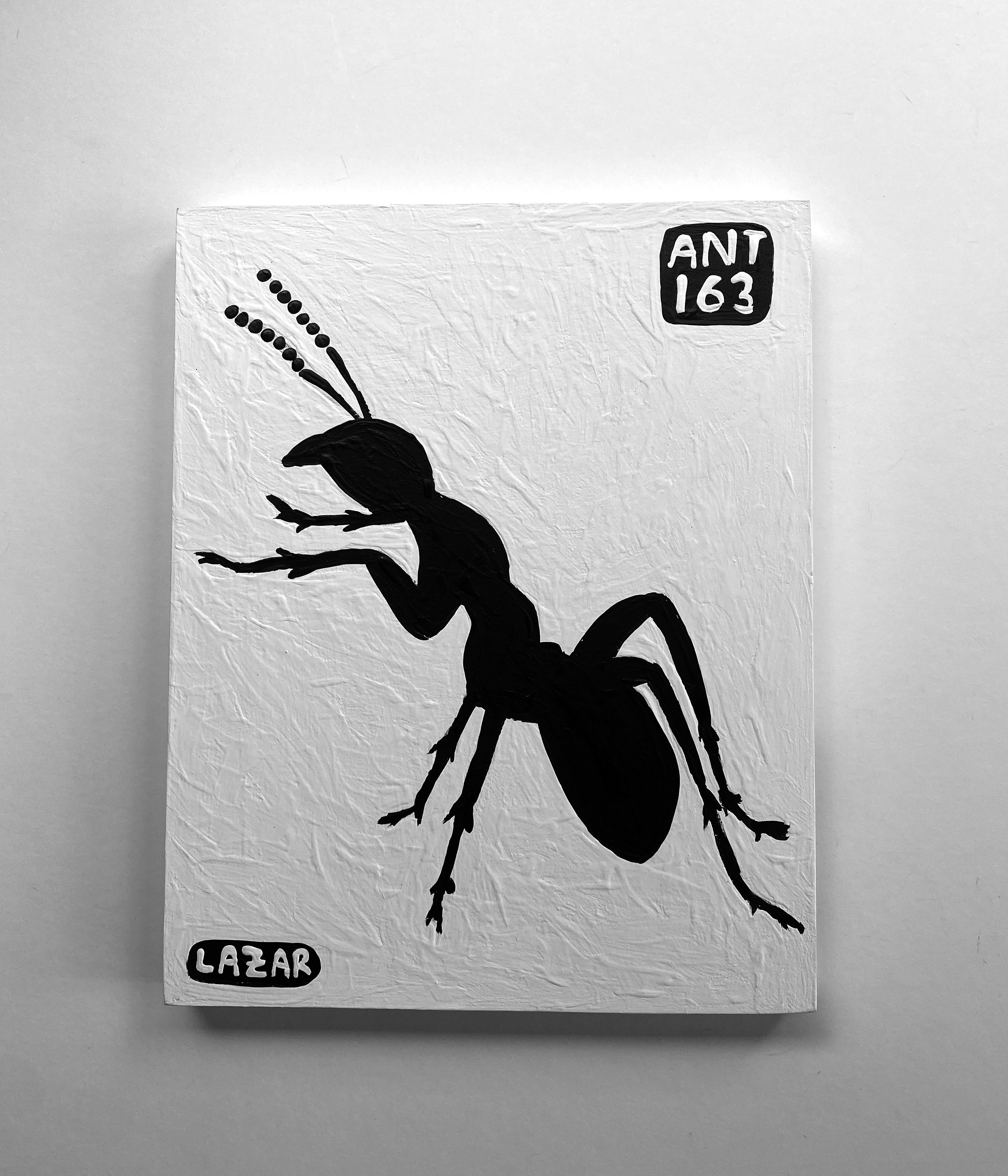 Ant #163