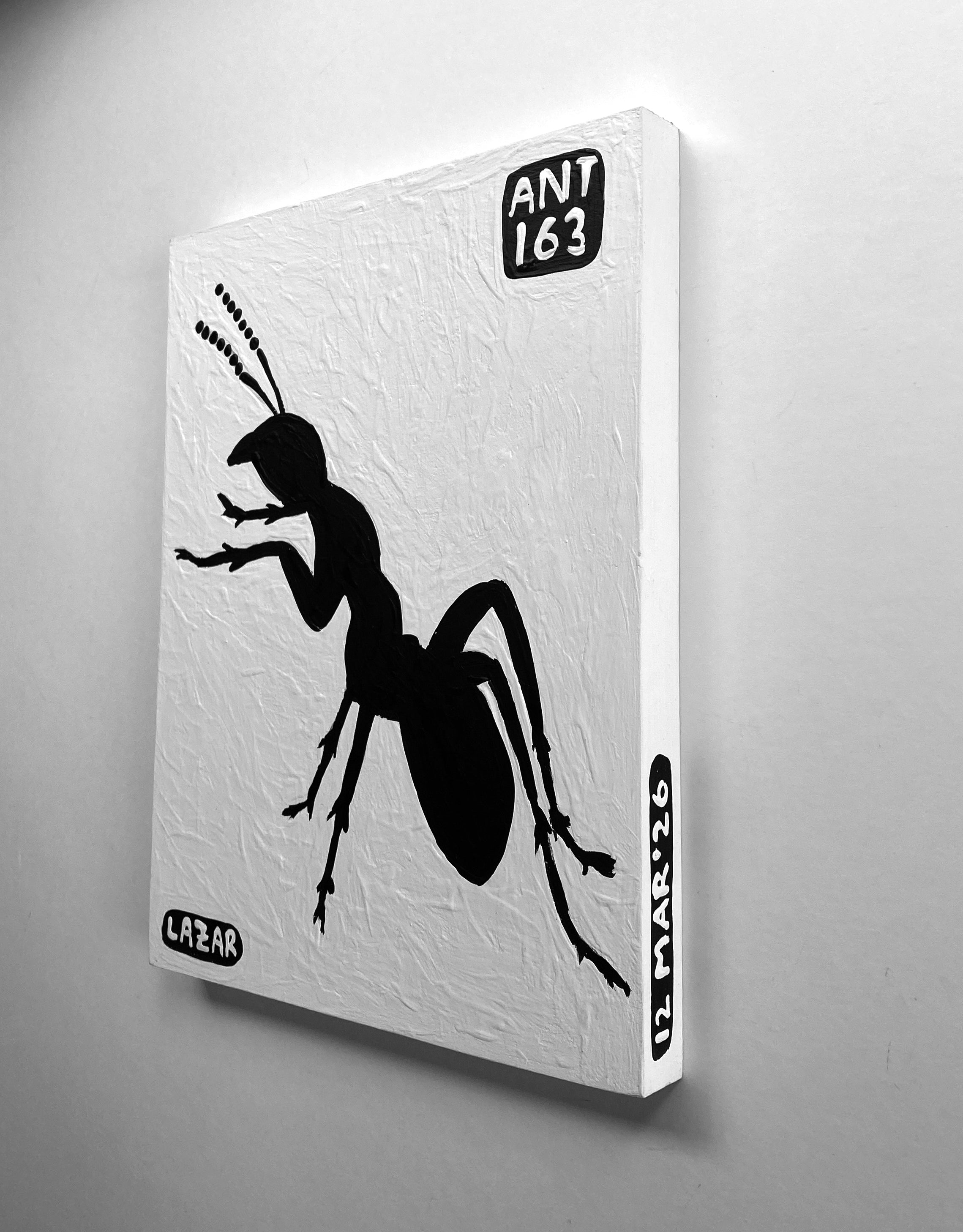 Ant #163