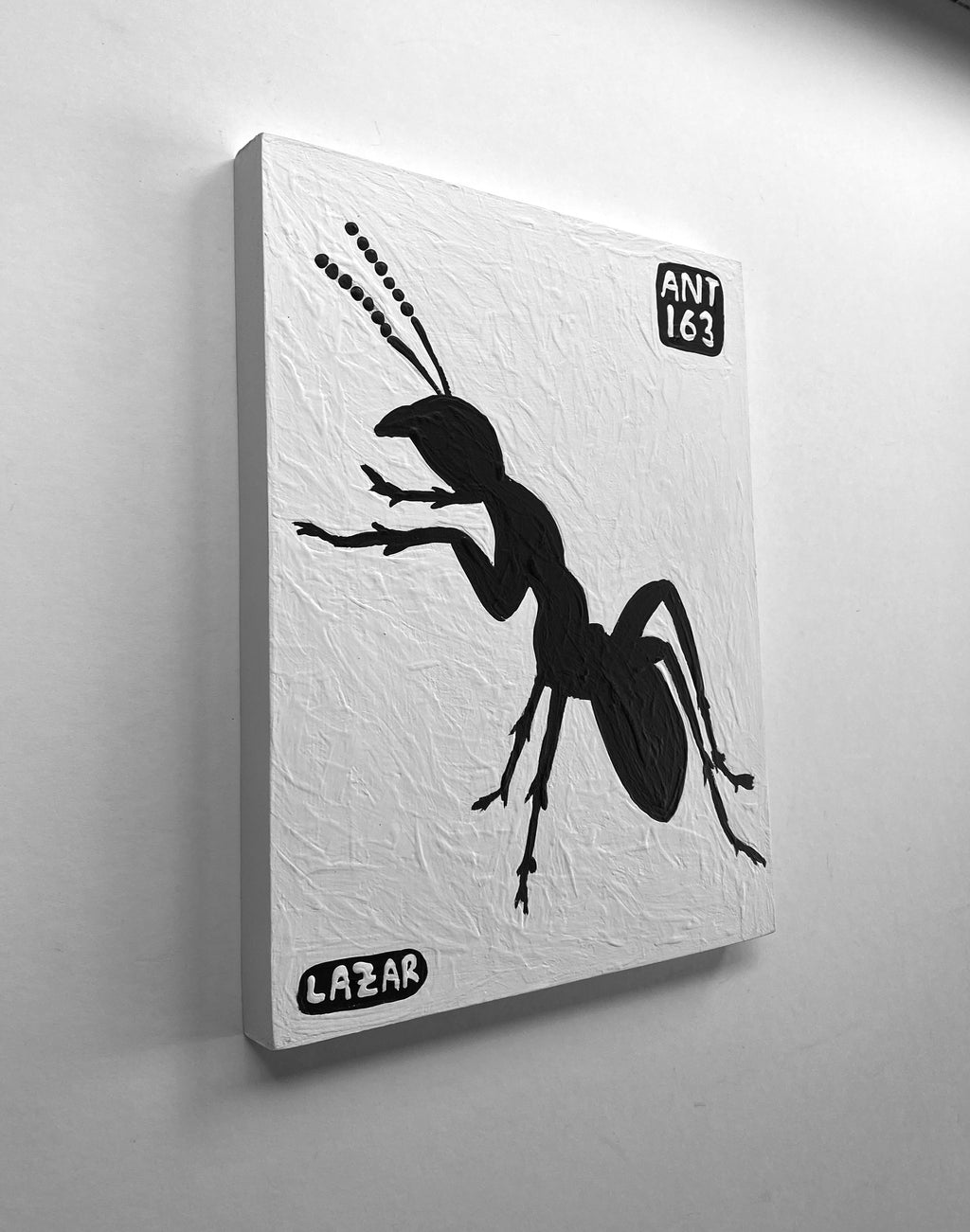 Ant #163