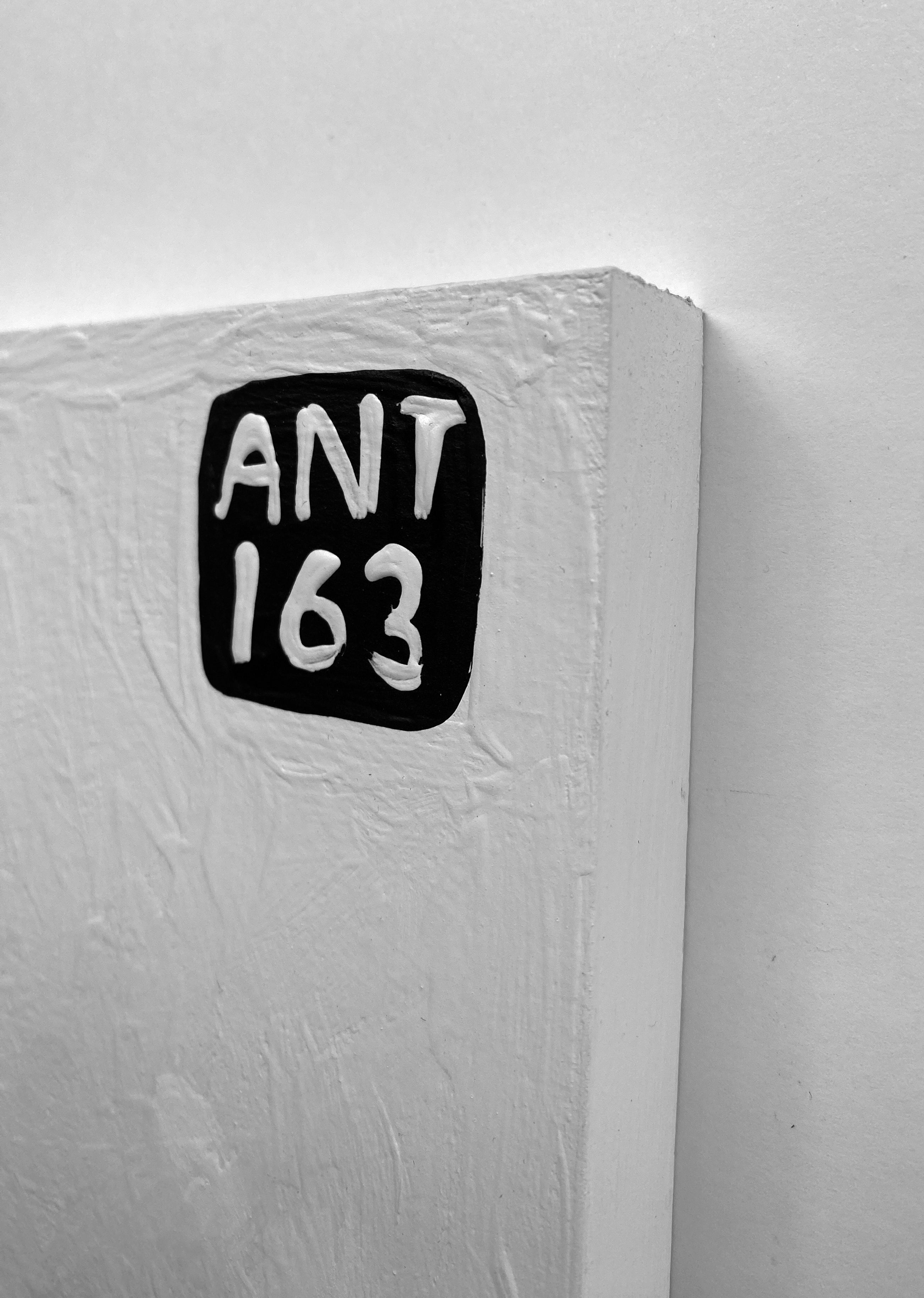 Ant #163