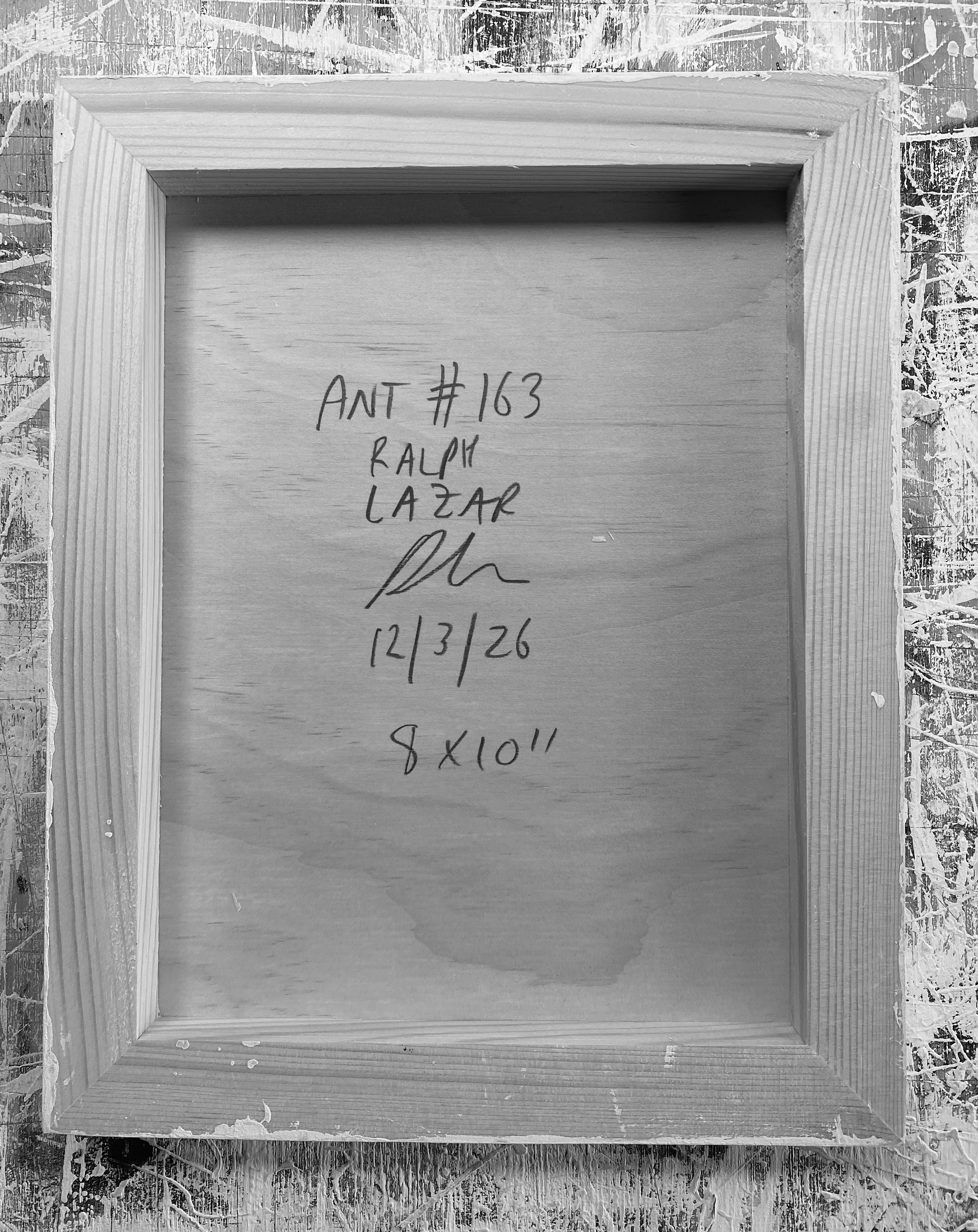 Ant #163