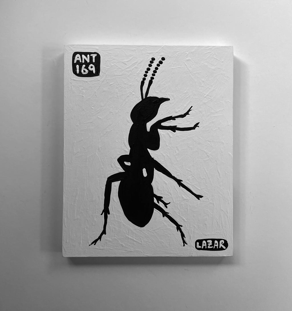 Ant #169