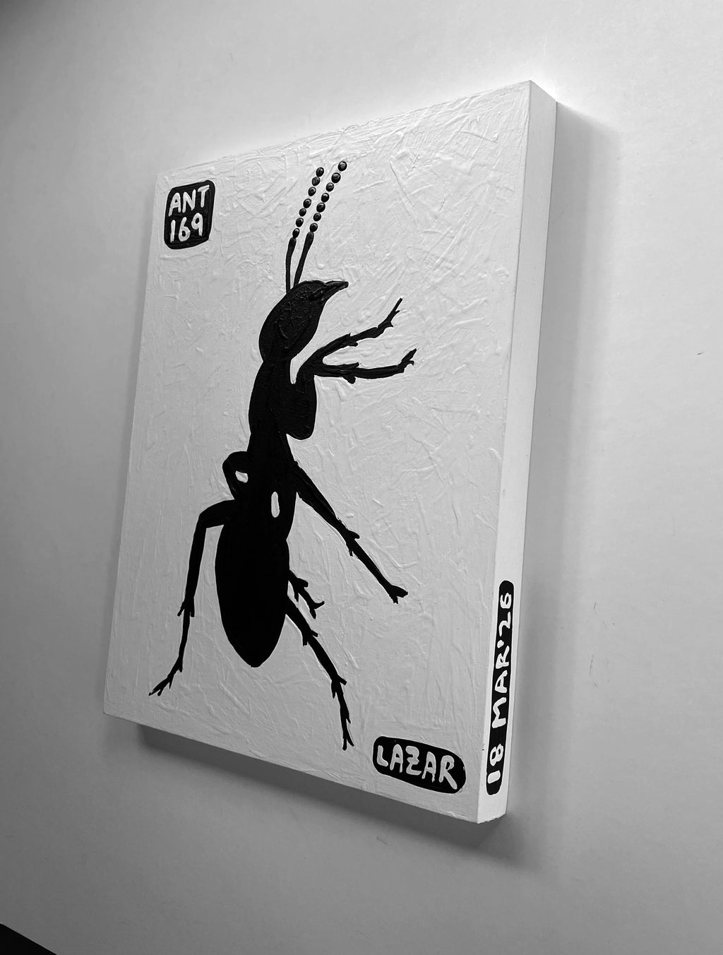 Ant #169