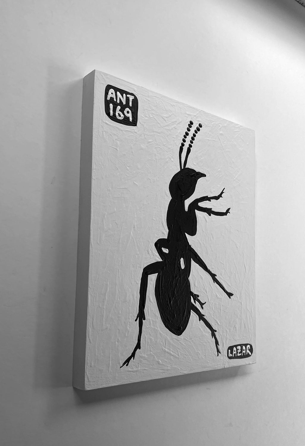 Ant #169