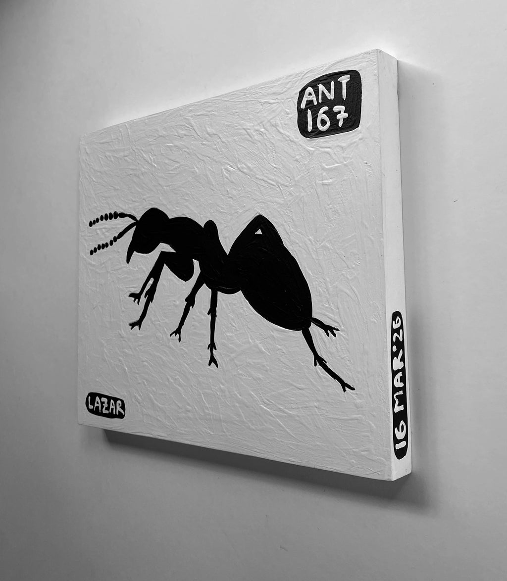 Ant #167