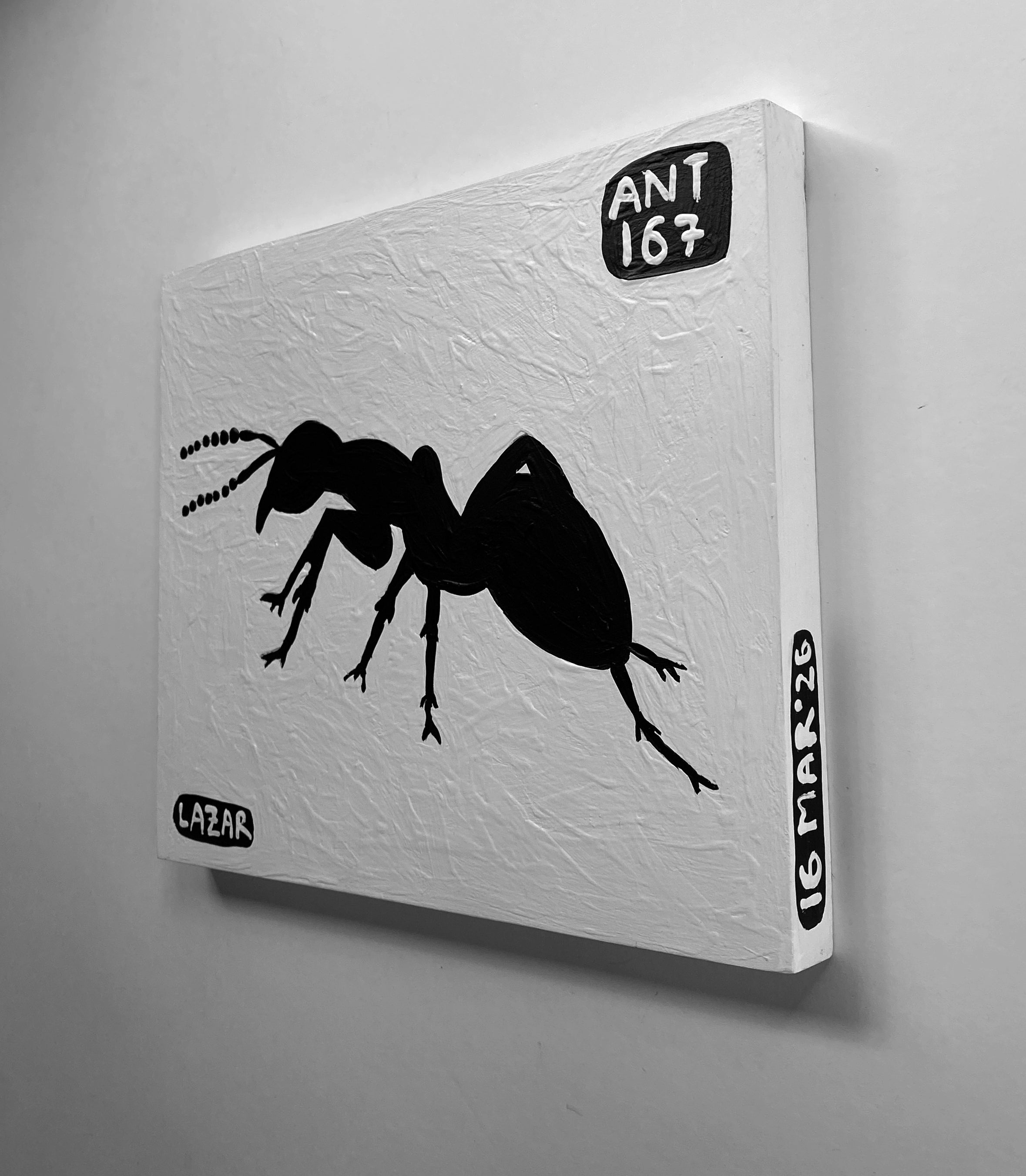 Ant #167
