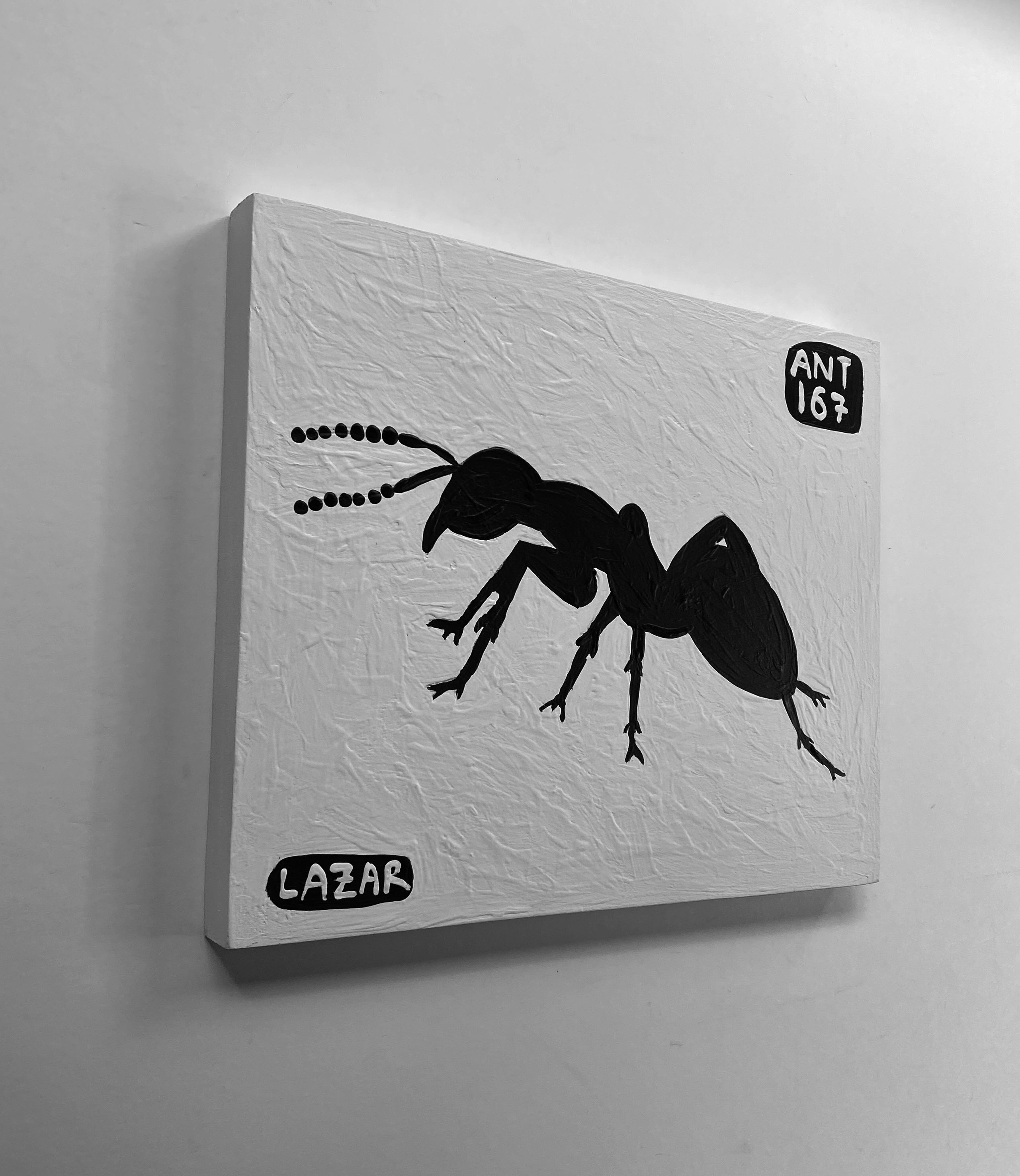 Ant #167