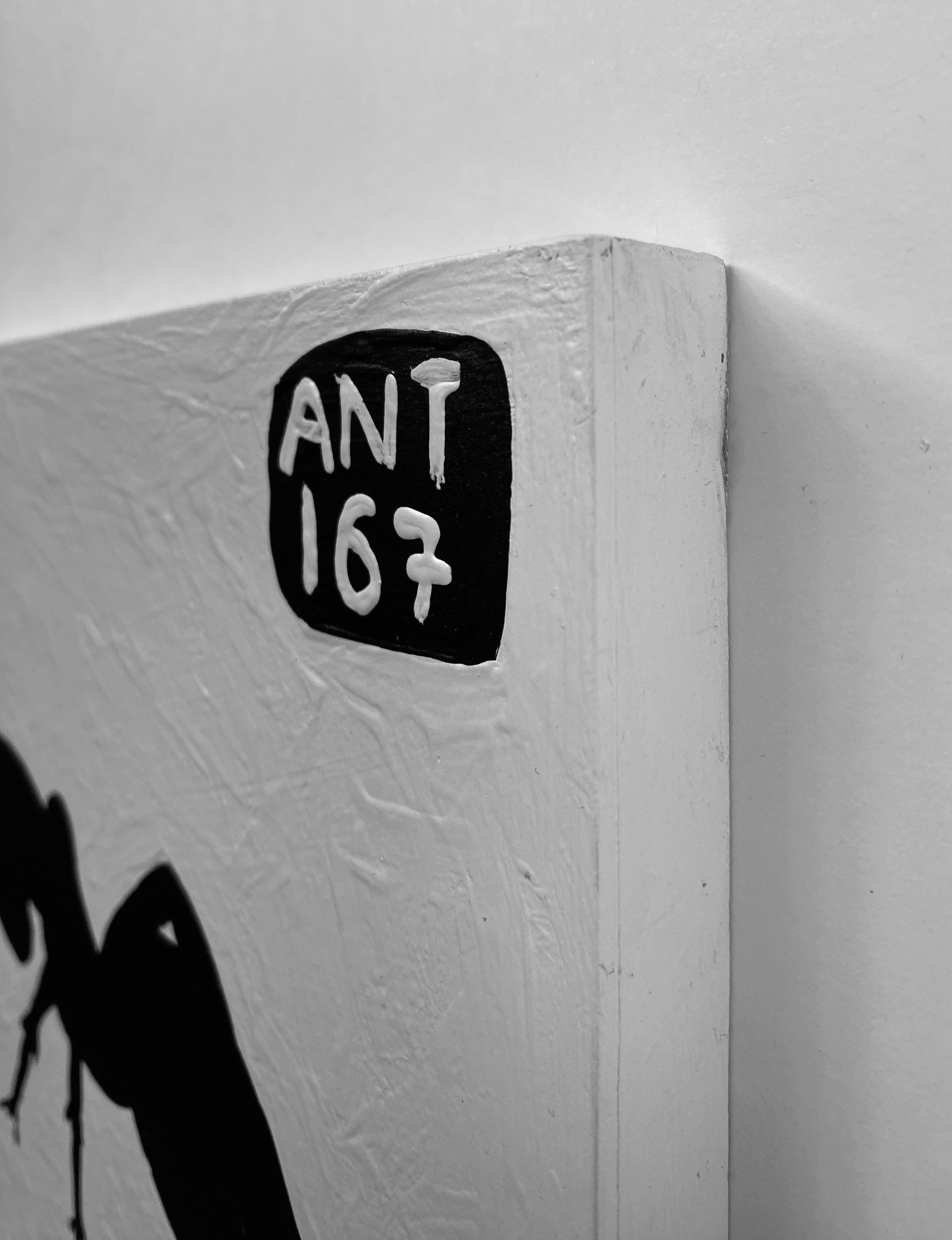 Ant #167