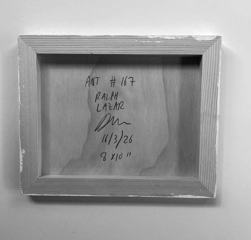 Ant #167