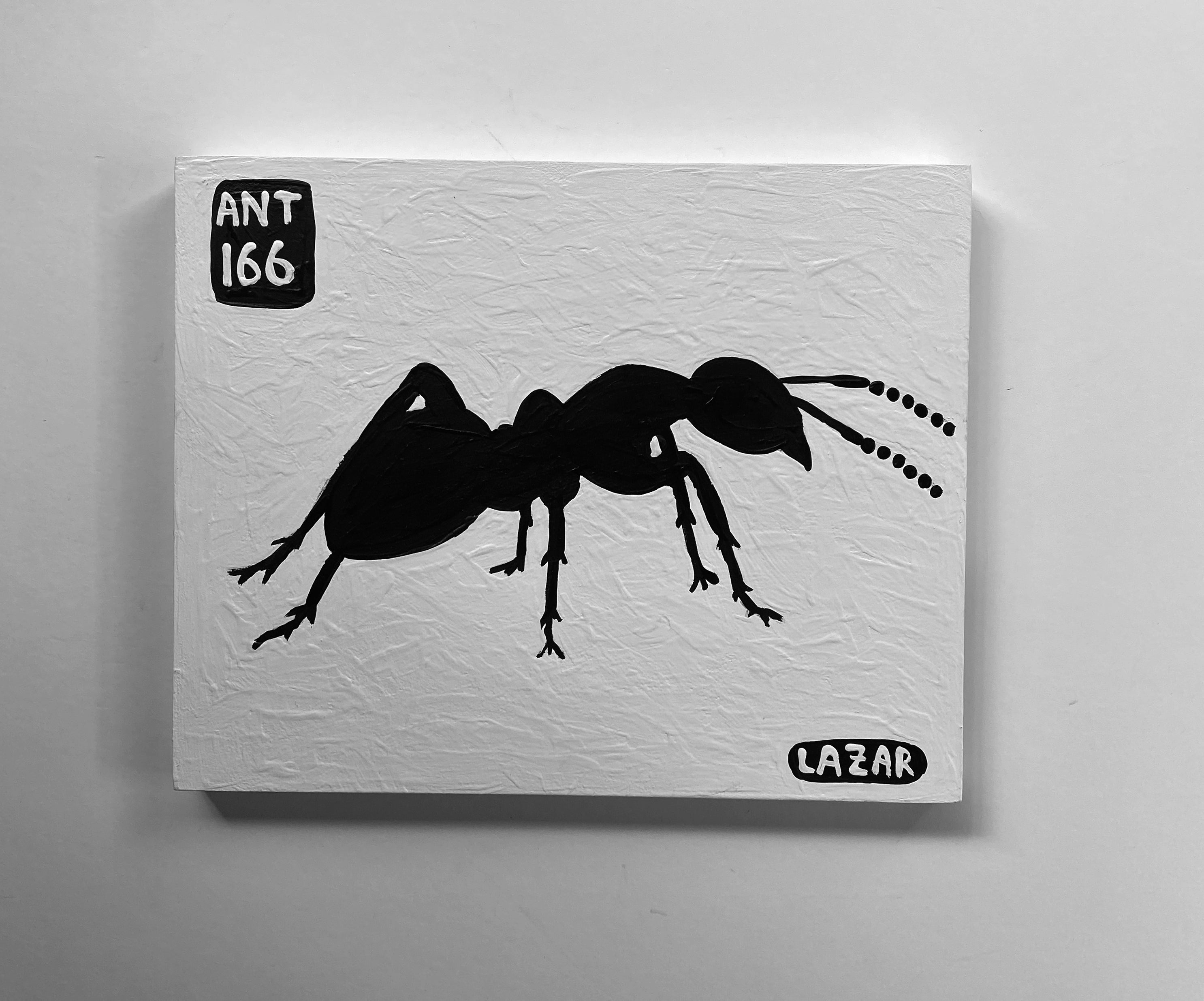 Ant #166