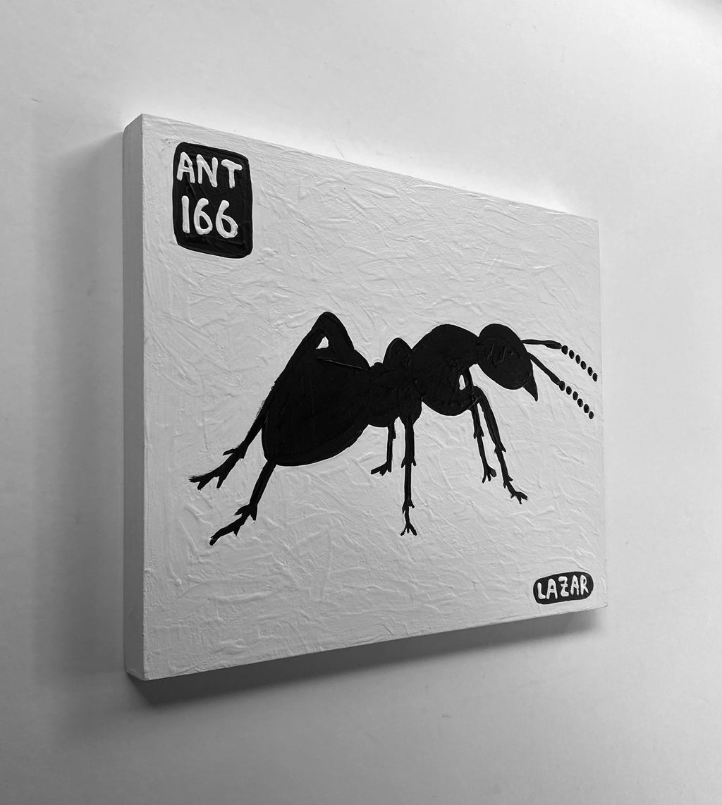 Ant #166