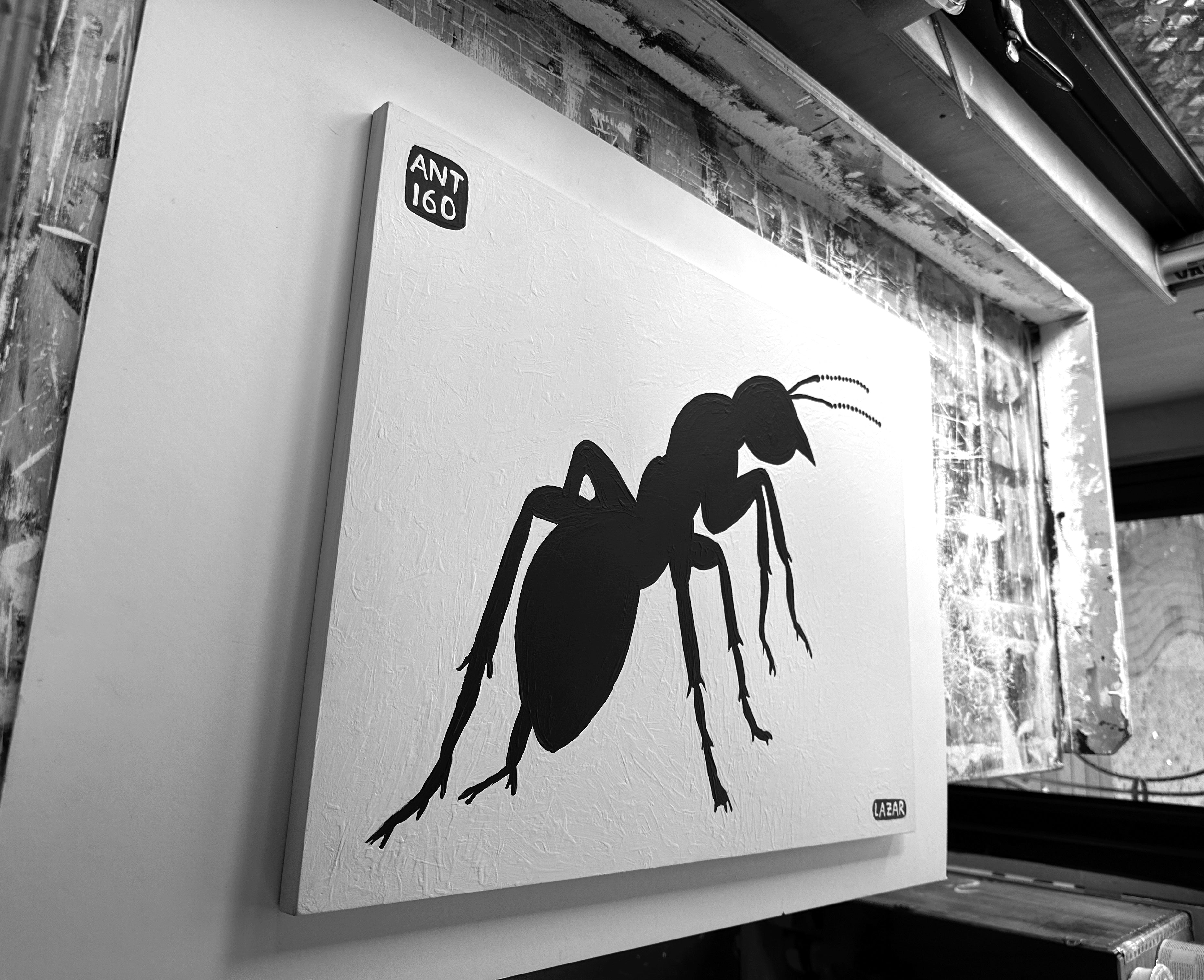 Ant #160