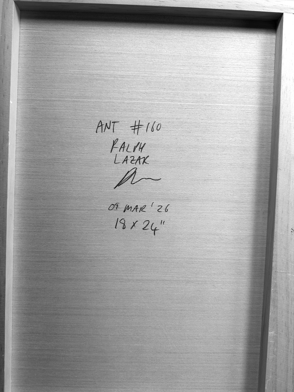 Ant #160