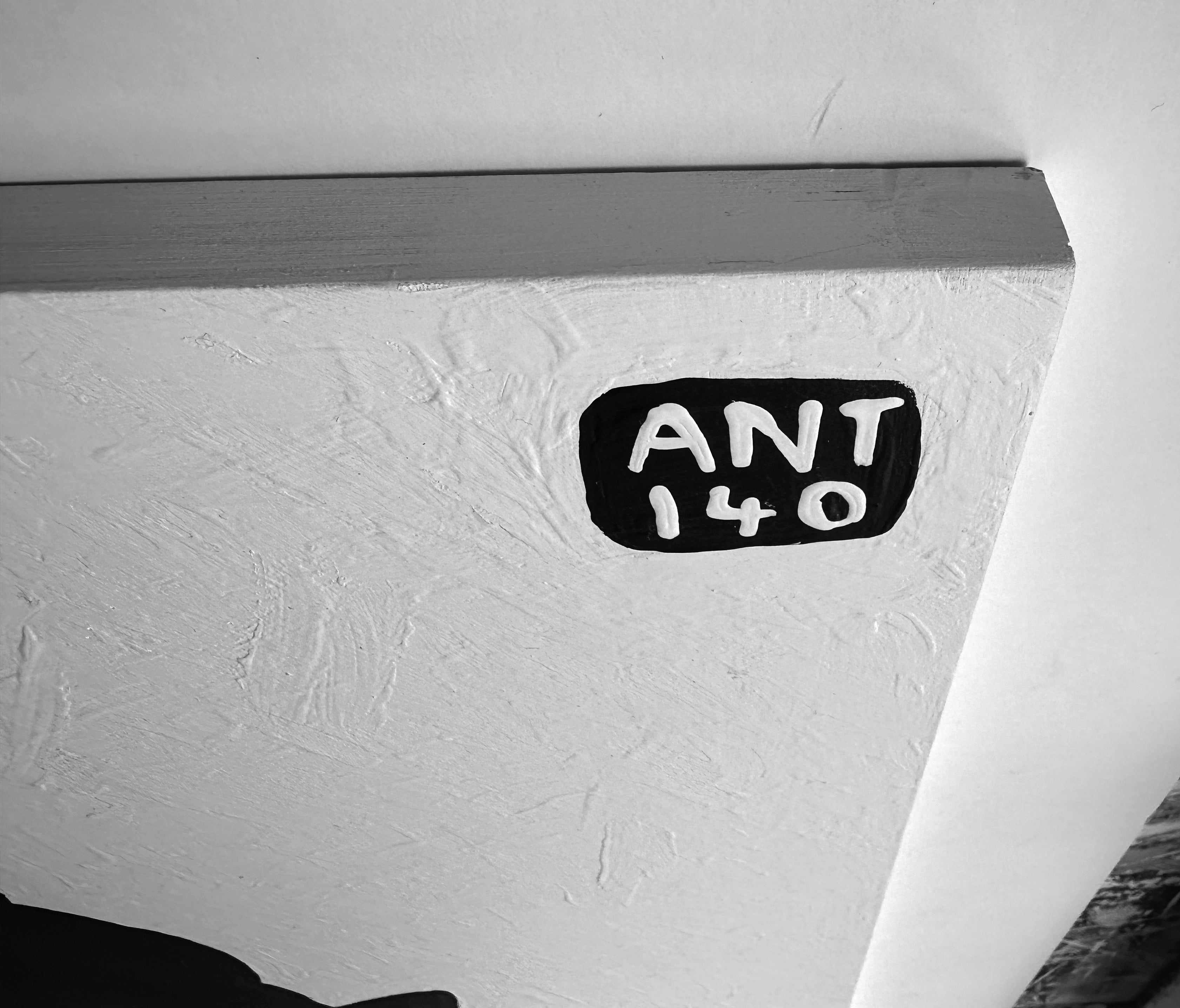Ant #140