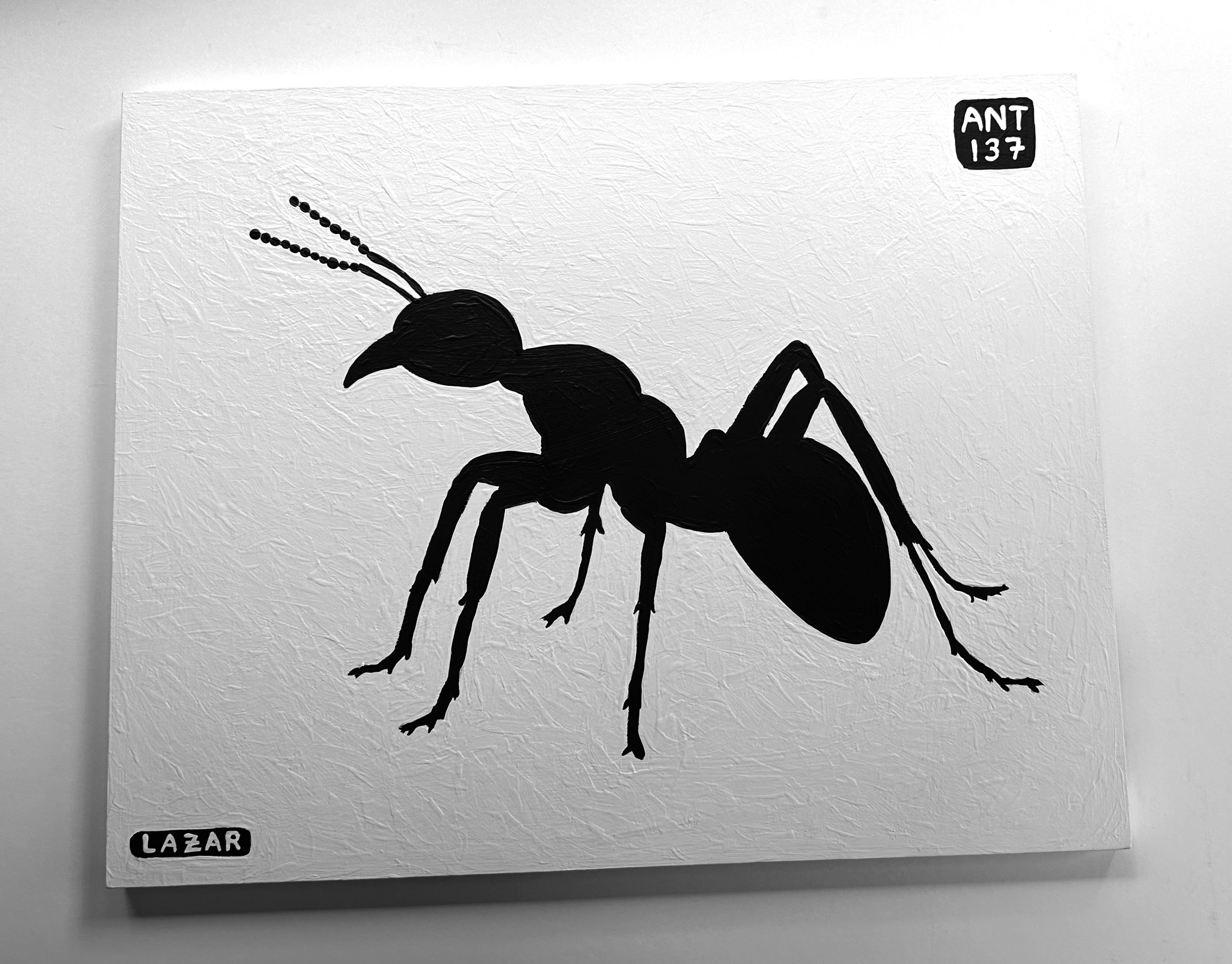 Ant #137