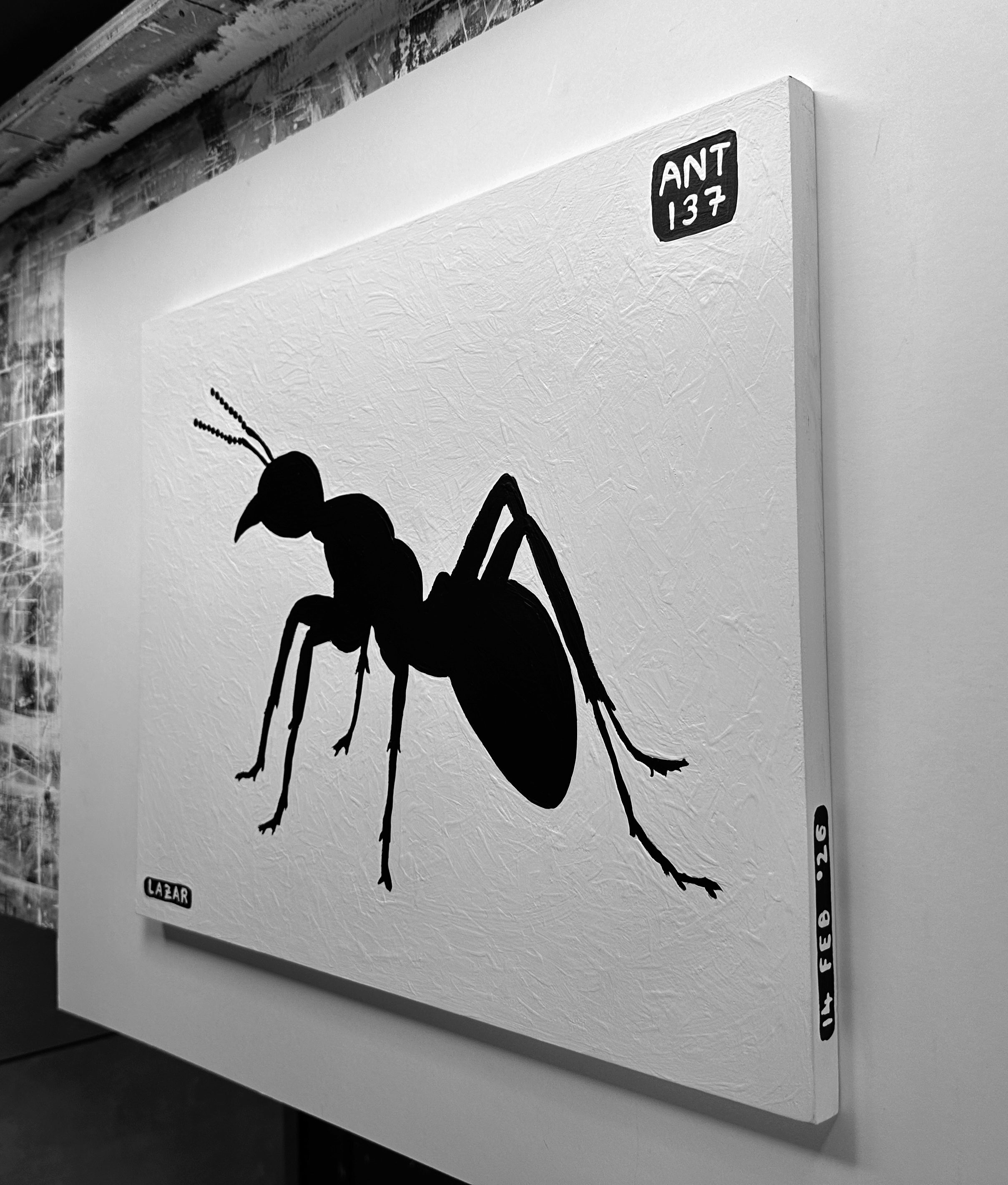 Ant #137